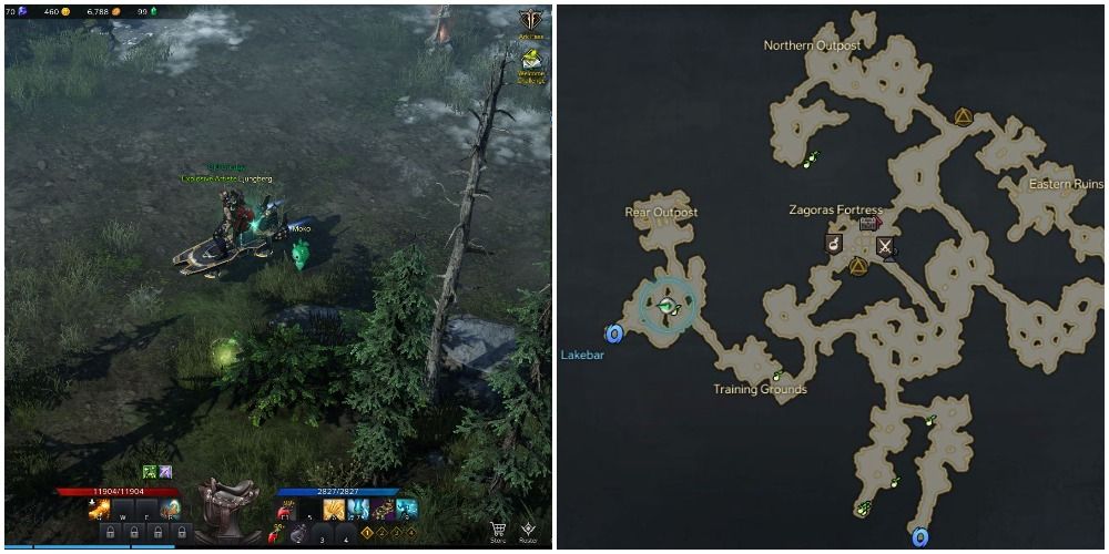 Location of the twelth mokoko seed in Mount Zagoras, Lost Ark