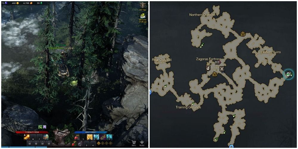 Location of the seventh mokoko seed in Mount Zagoras, Lost Ark