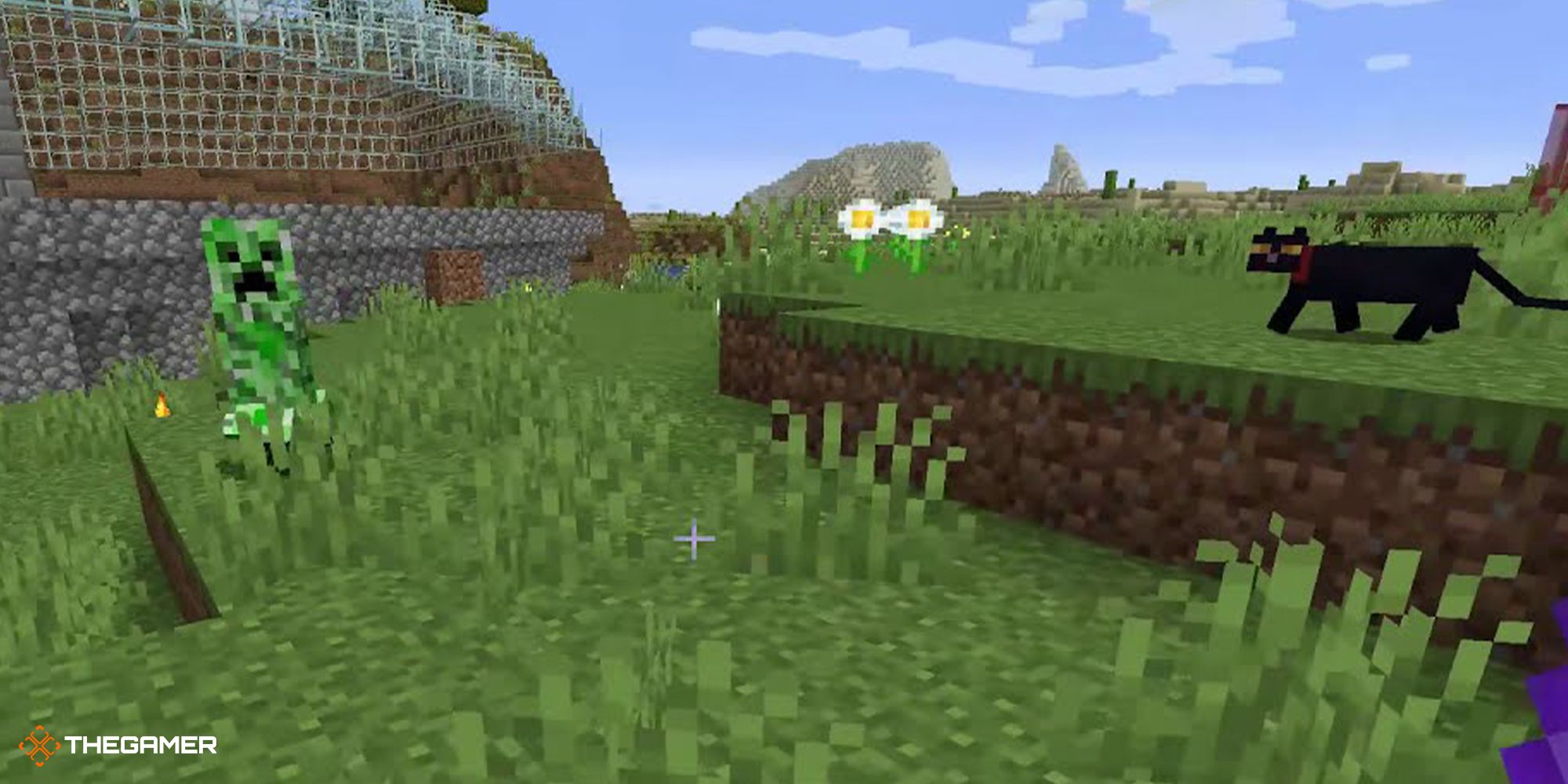 Minecraft - creeper and a cat