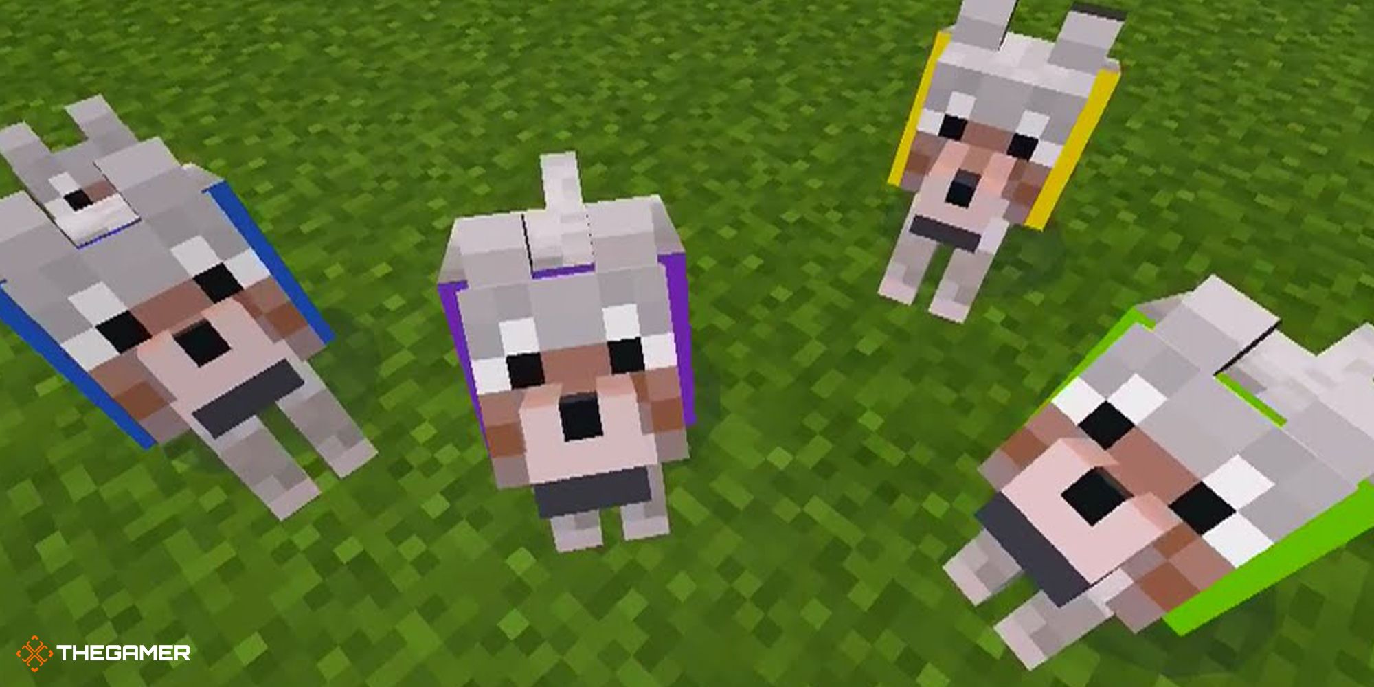 Minecraft - dogs with different coloured collars