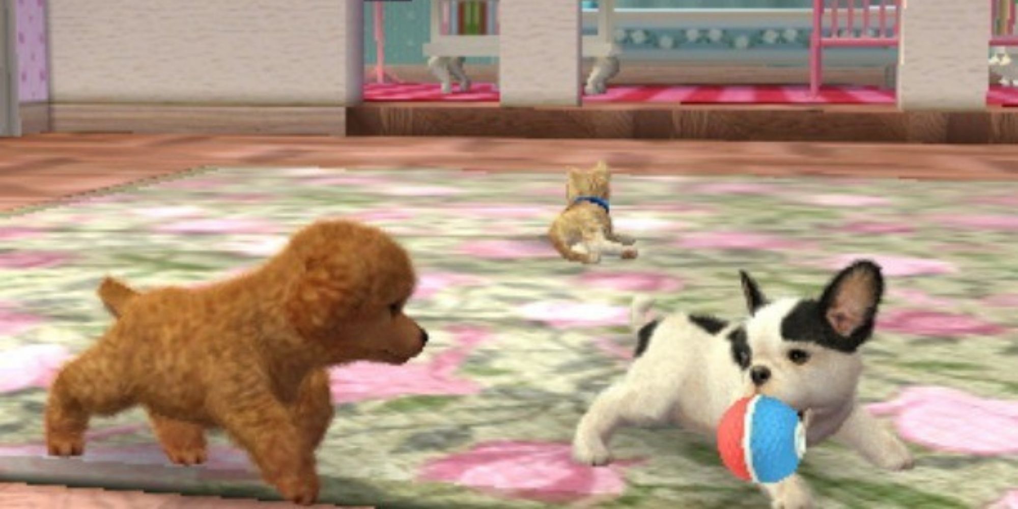 Nintendogs play with toys in living room with cat laying down in background