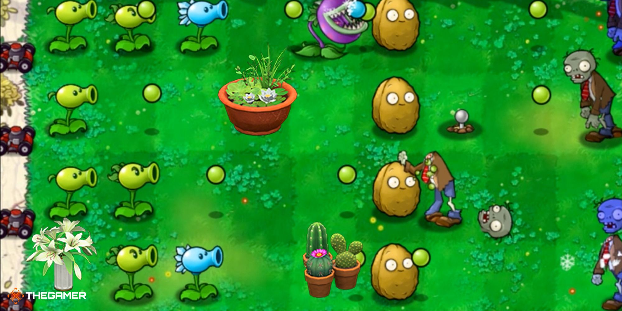 Plants VS Zombies - game board with a bunch of houseplants on it
