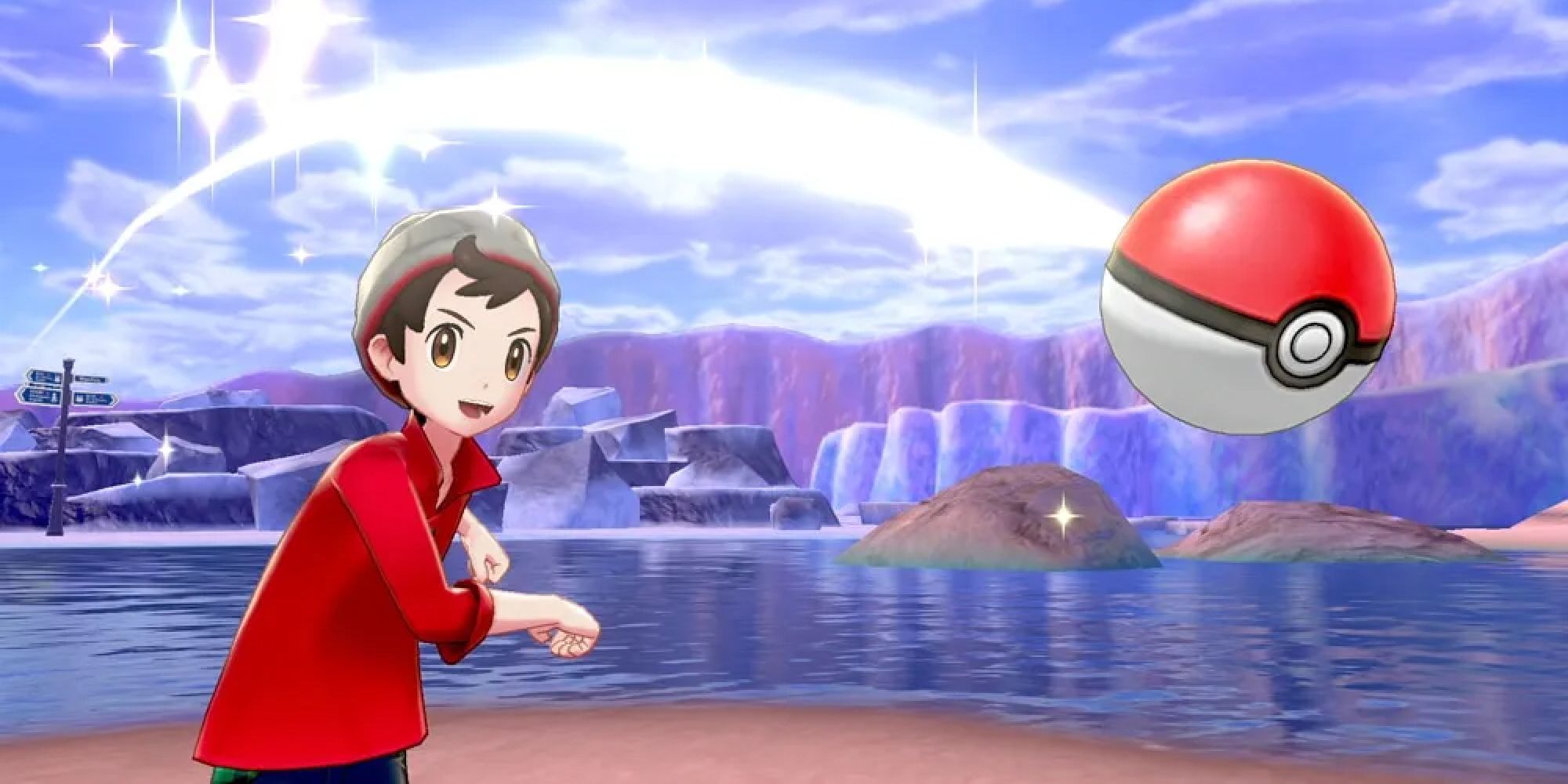 Pokemon Sword and Shield, thrown Pokeball to catch a Pokemon