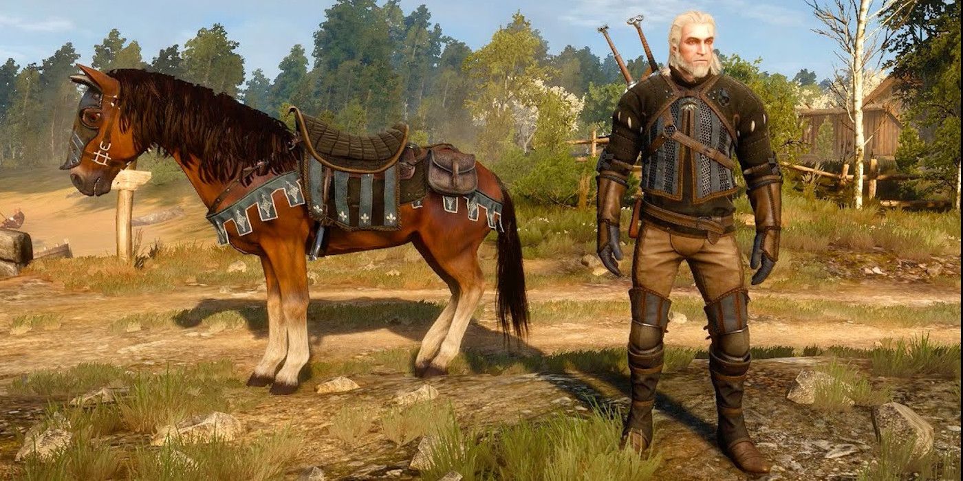 Roach gear Geralt Witcher 3