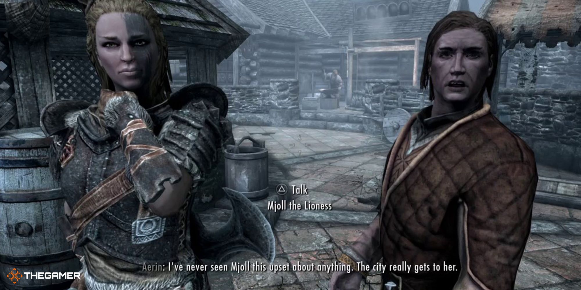 Skyrim - Aerin talking about Mjoll in Riten