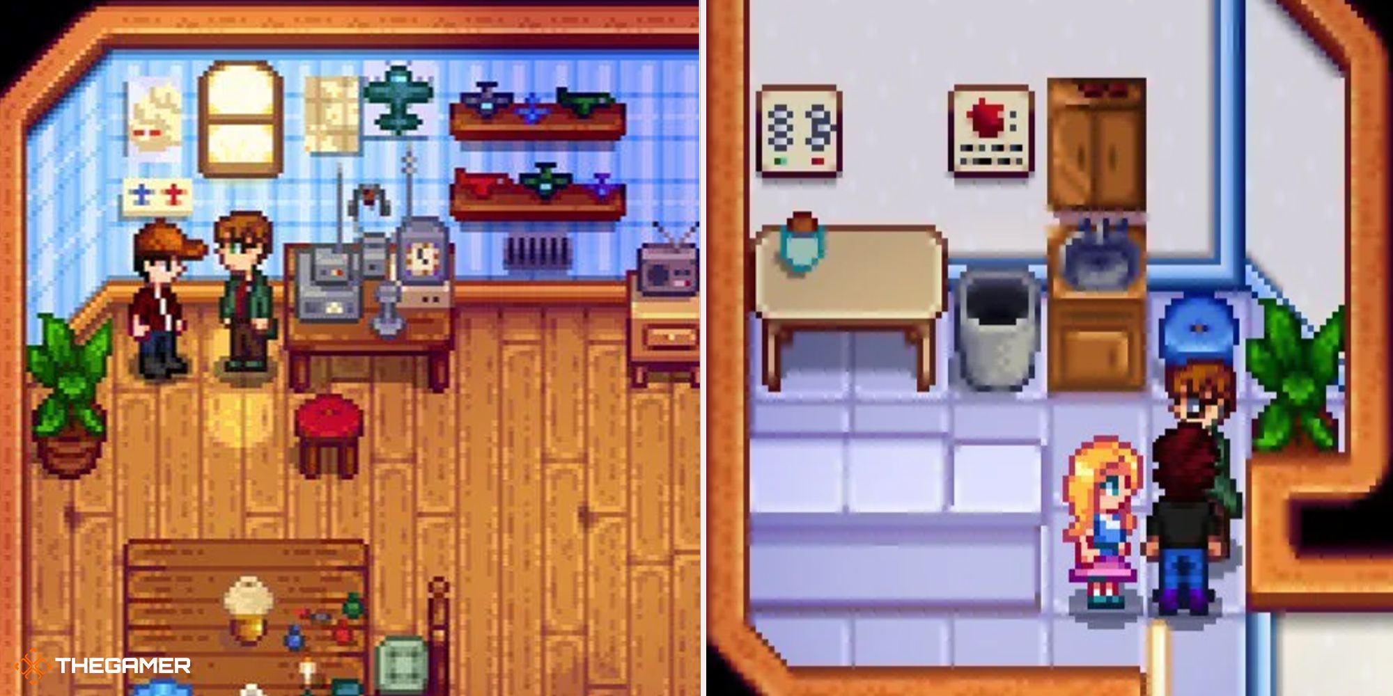 Stardew Valley - Harvey at home (left) and in clinic (right)