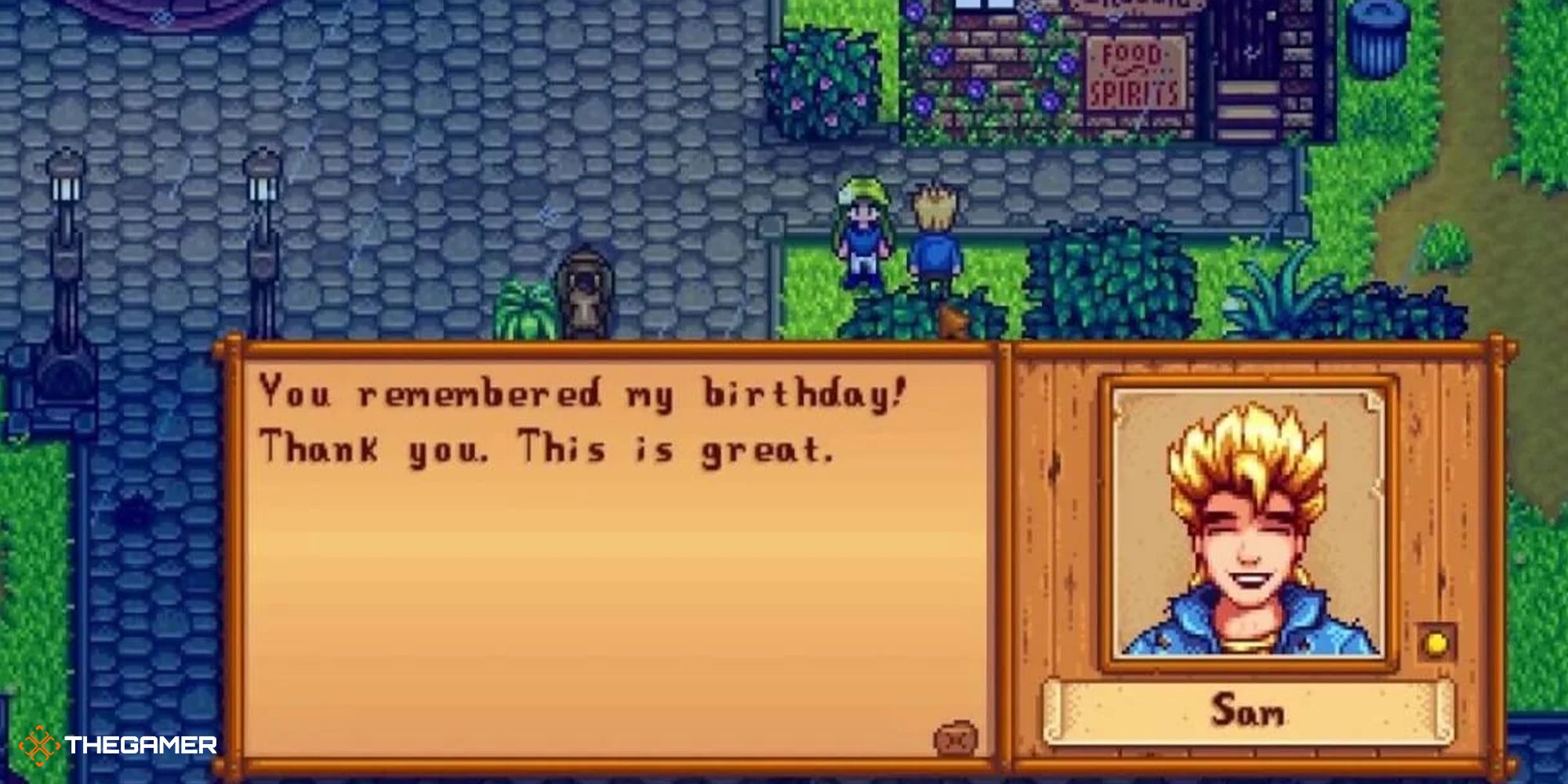 Stardew Valley - Sam birthday gift