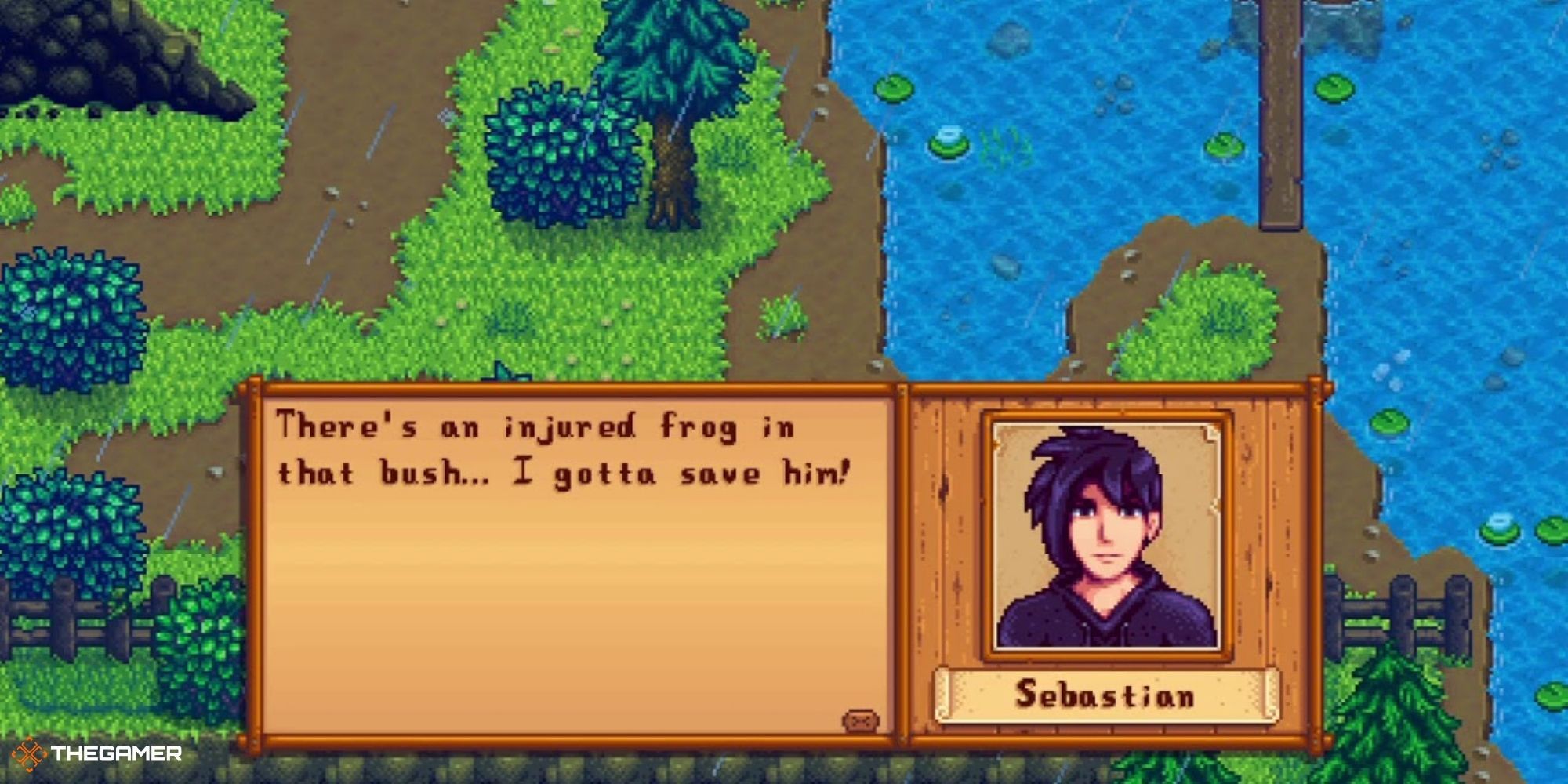 Stardew Valley: A Complete Guide To Marrying Sebastian