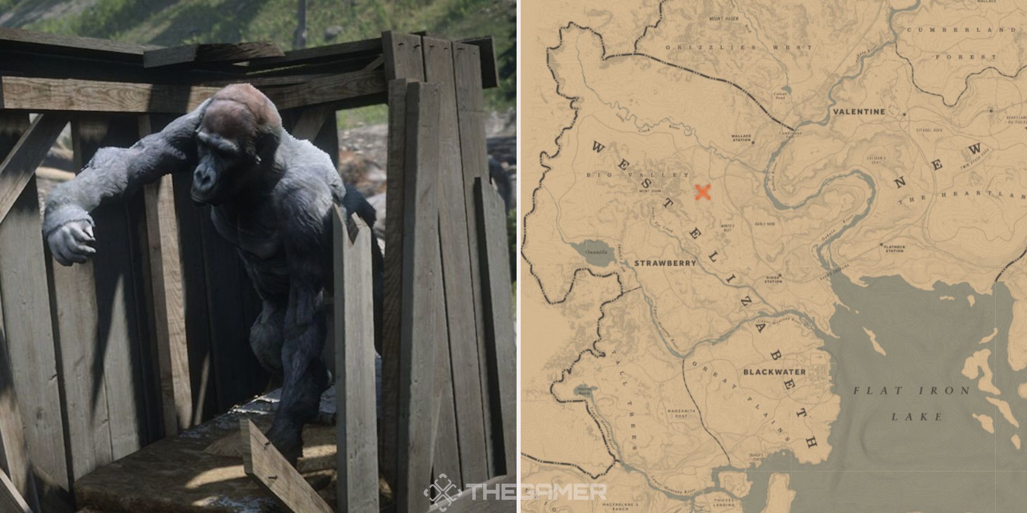 Stuffed Gorilla in crate ravine West Elizabeth alongside its location on the map.