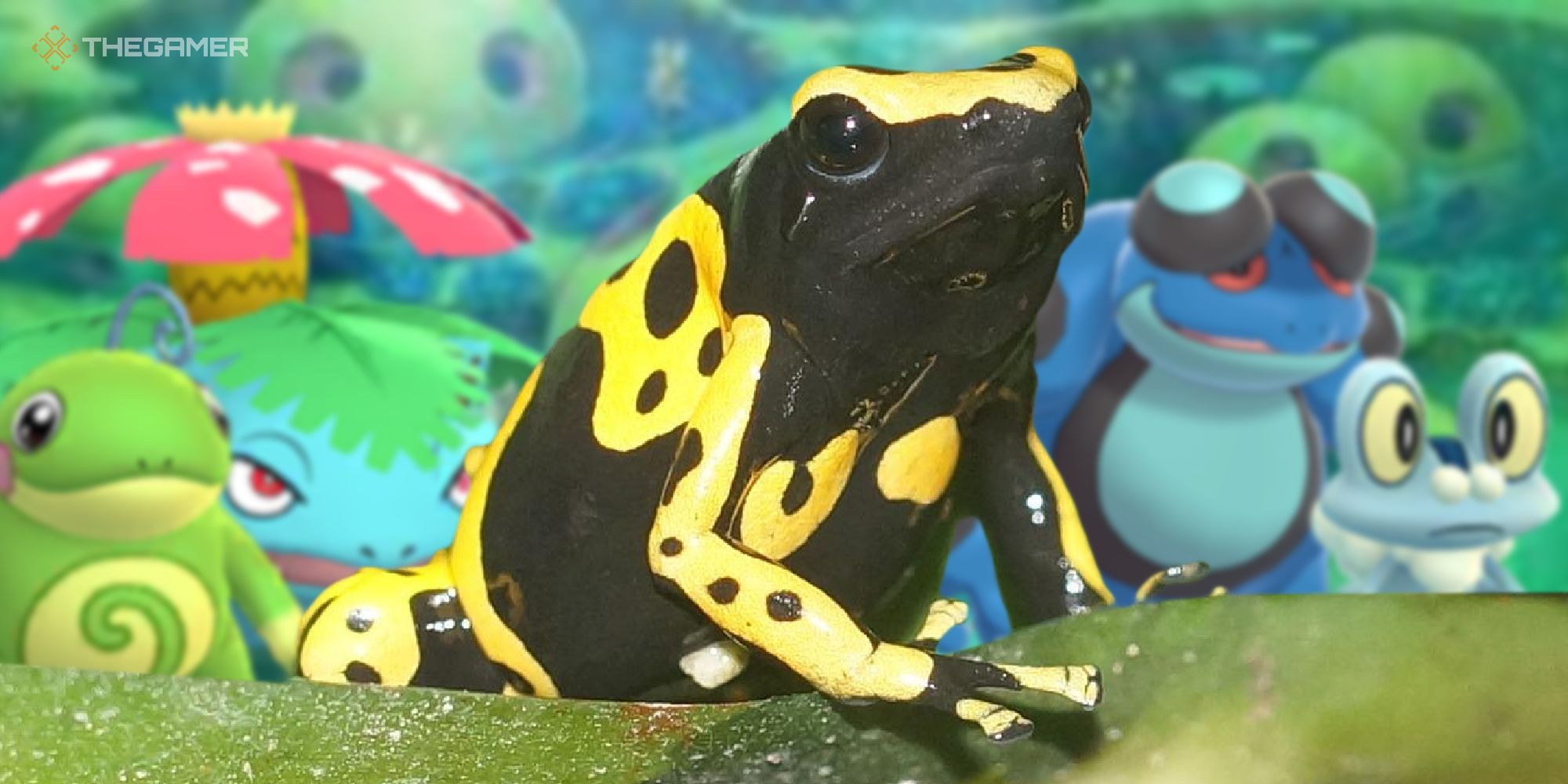 Why Isn’t There A Poison Dart Frog Pokemon 2