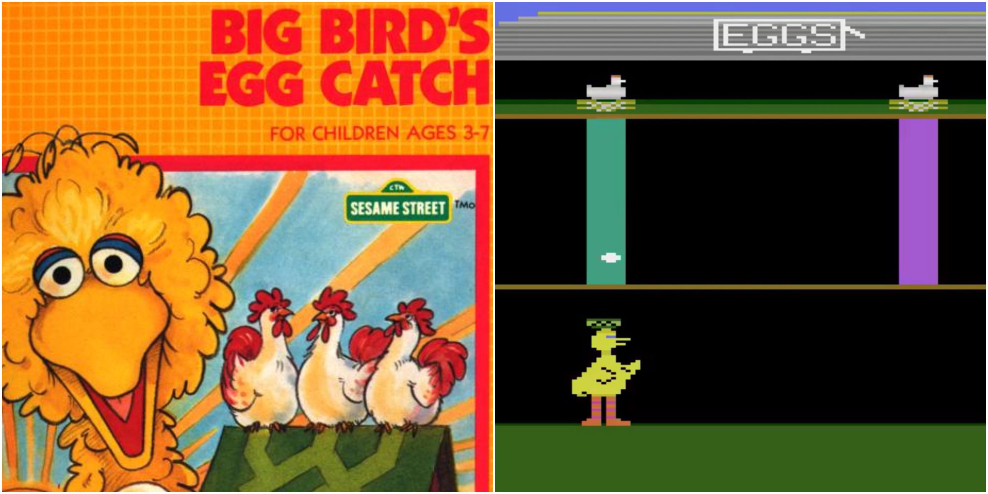 big birds egg catch cover & gameplay