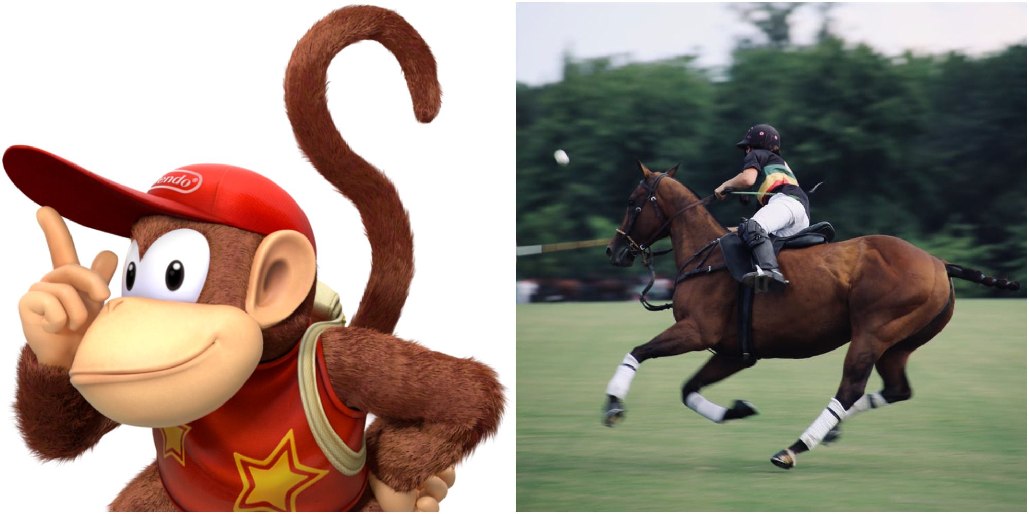 diddy kong polo