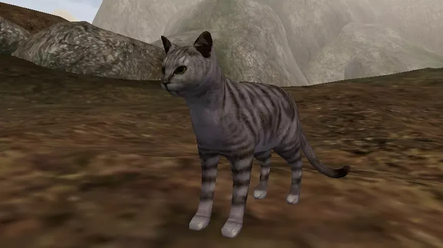 morrowind-small-stripes-the-cat
