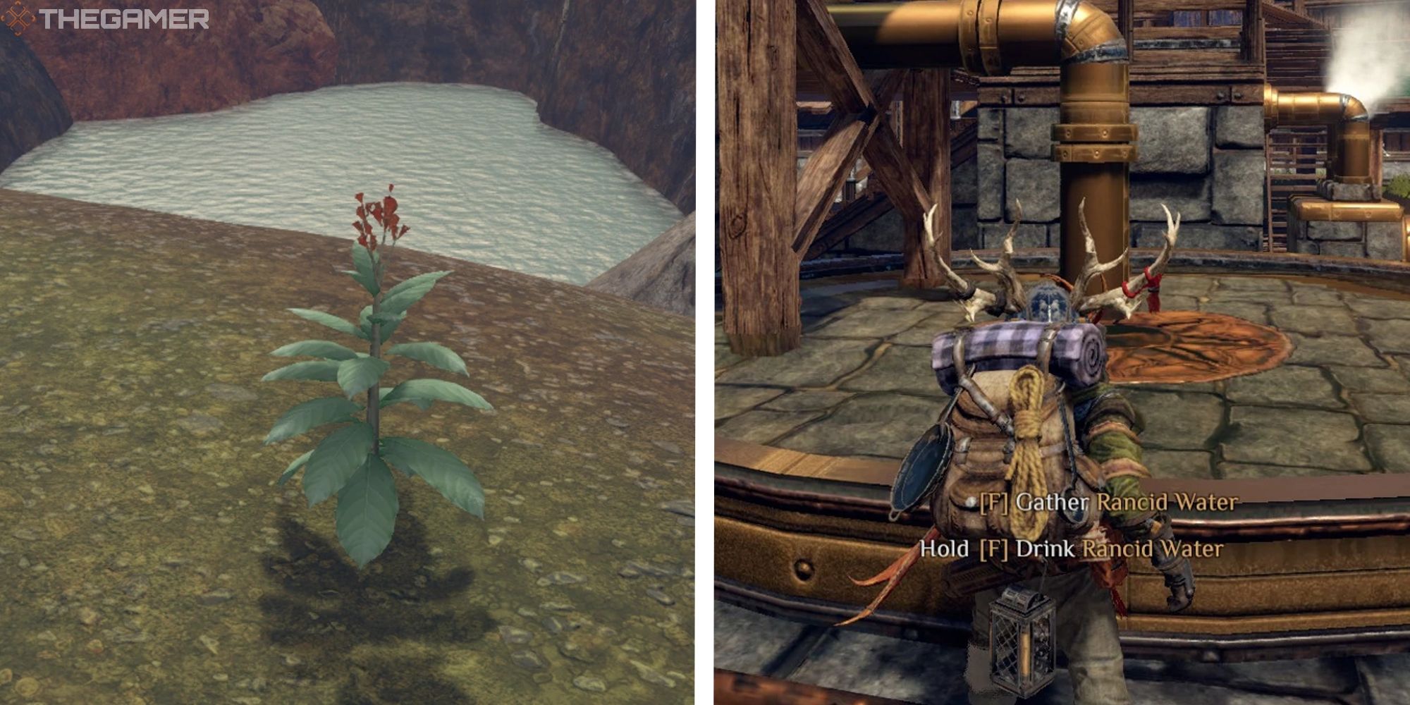 image of ambraine next to image of player standing in front of rancid water