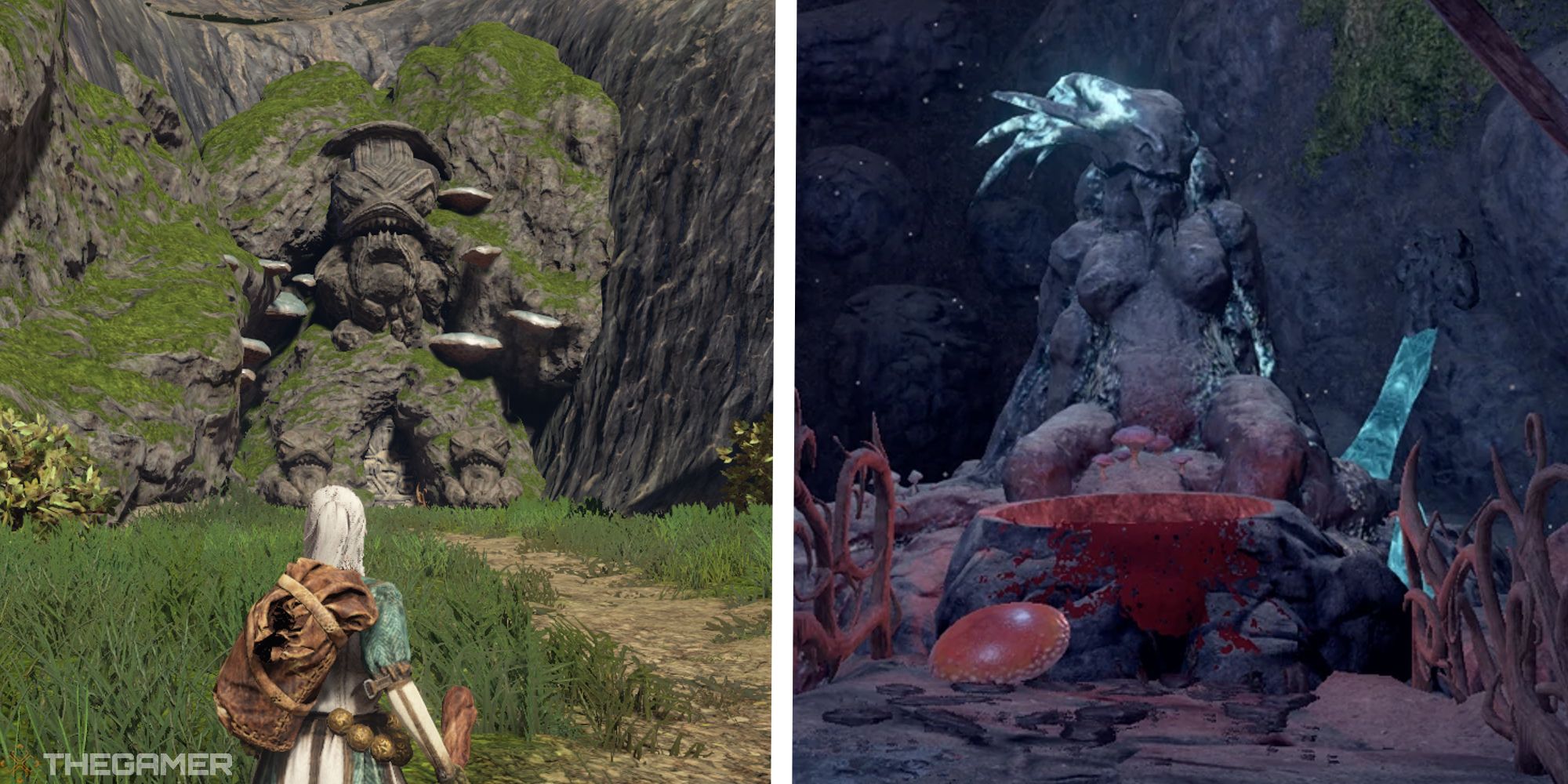 image of player looking at blister burrow next to image of mushroom shield location