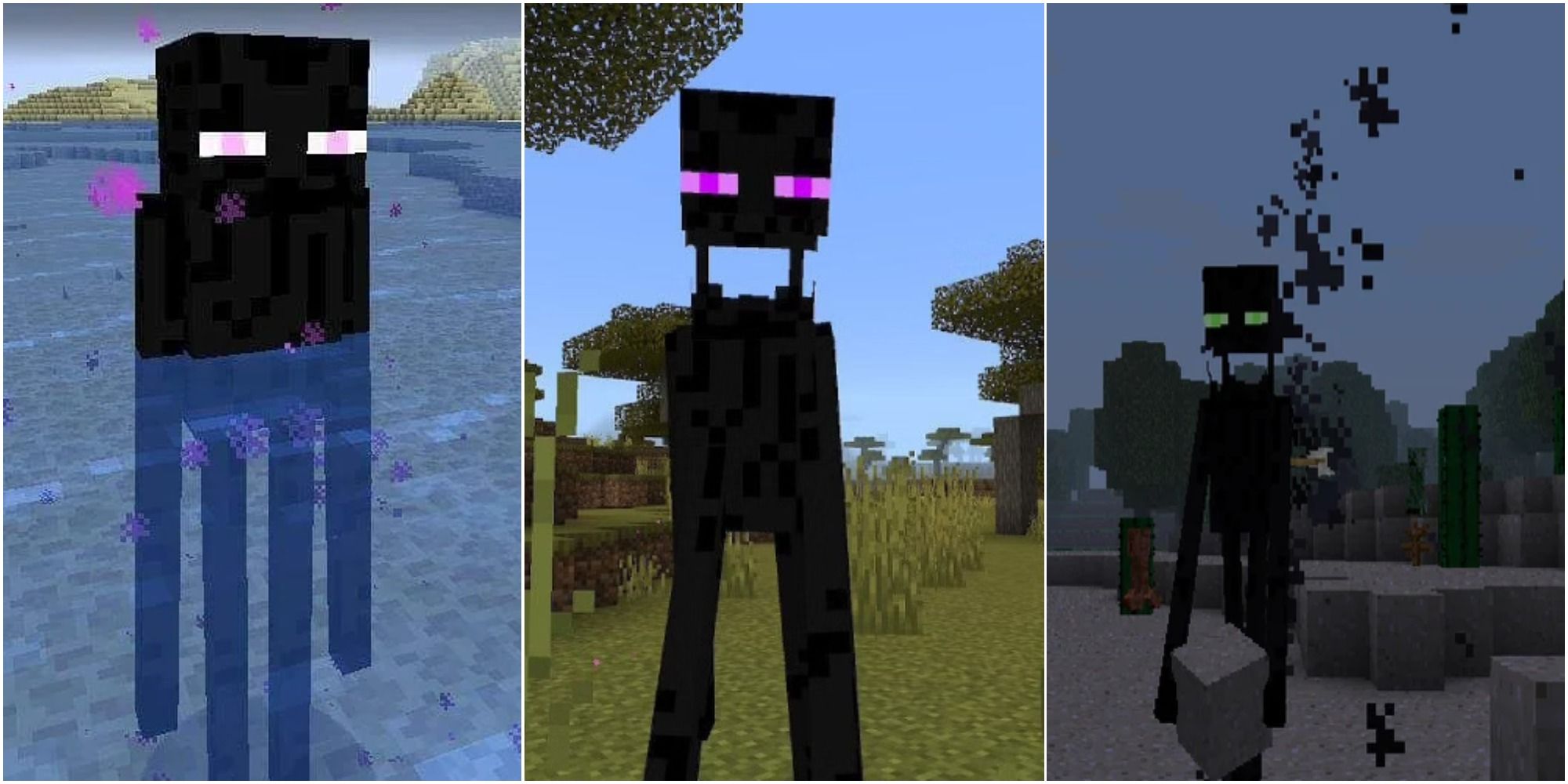 on the left is an Enderman in water, in the middle is an aggroed Enderman and on the right is an Enderman carrying a block