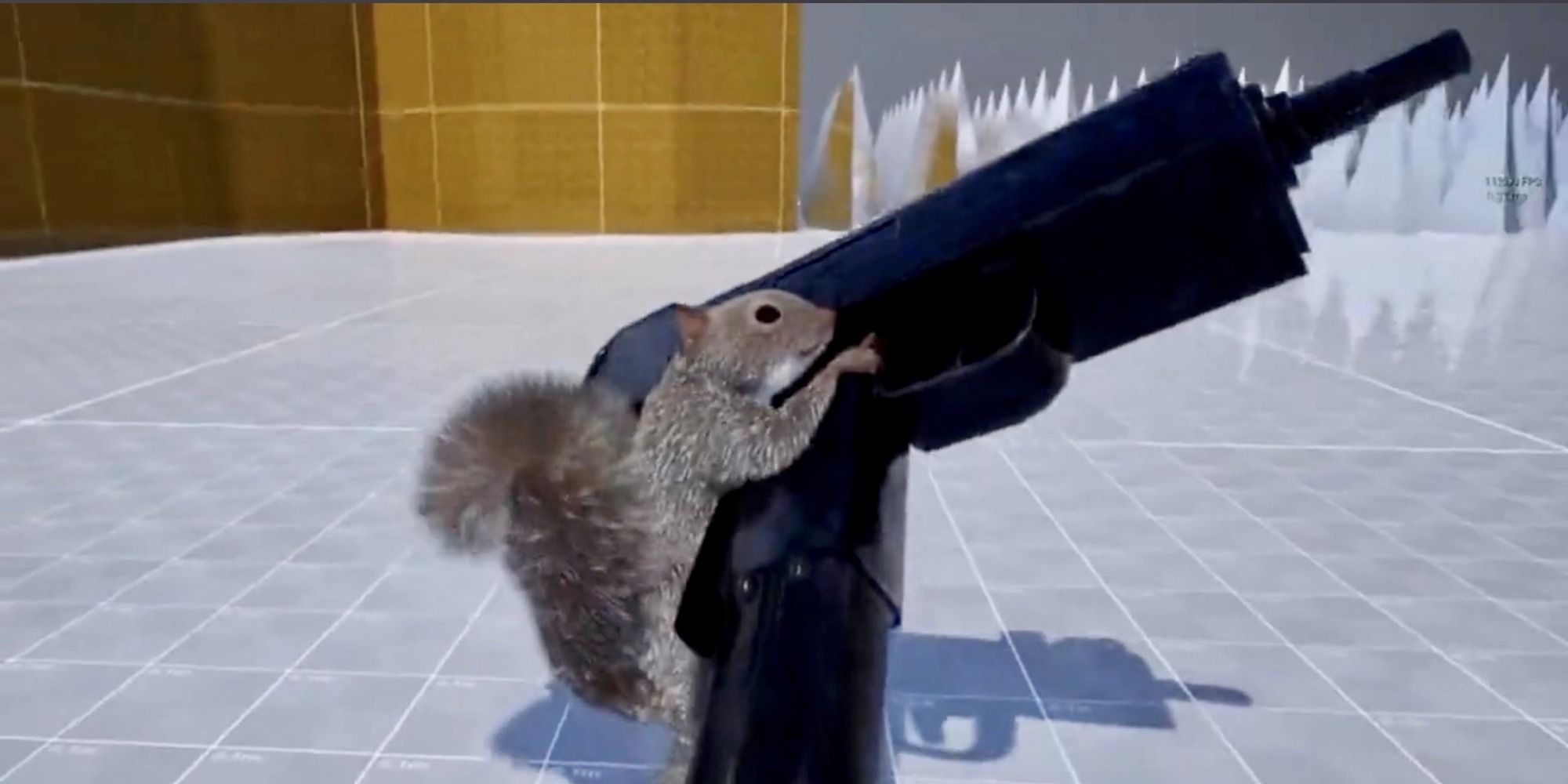 squirrel gun game