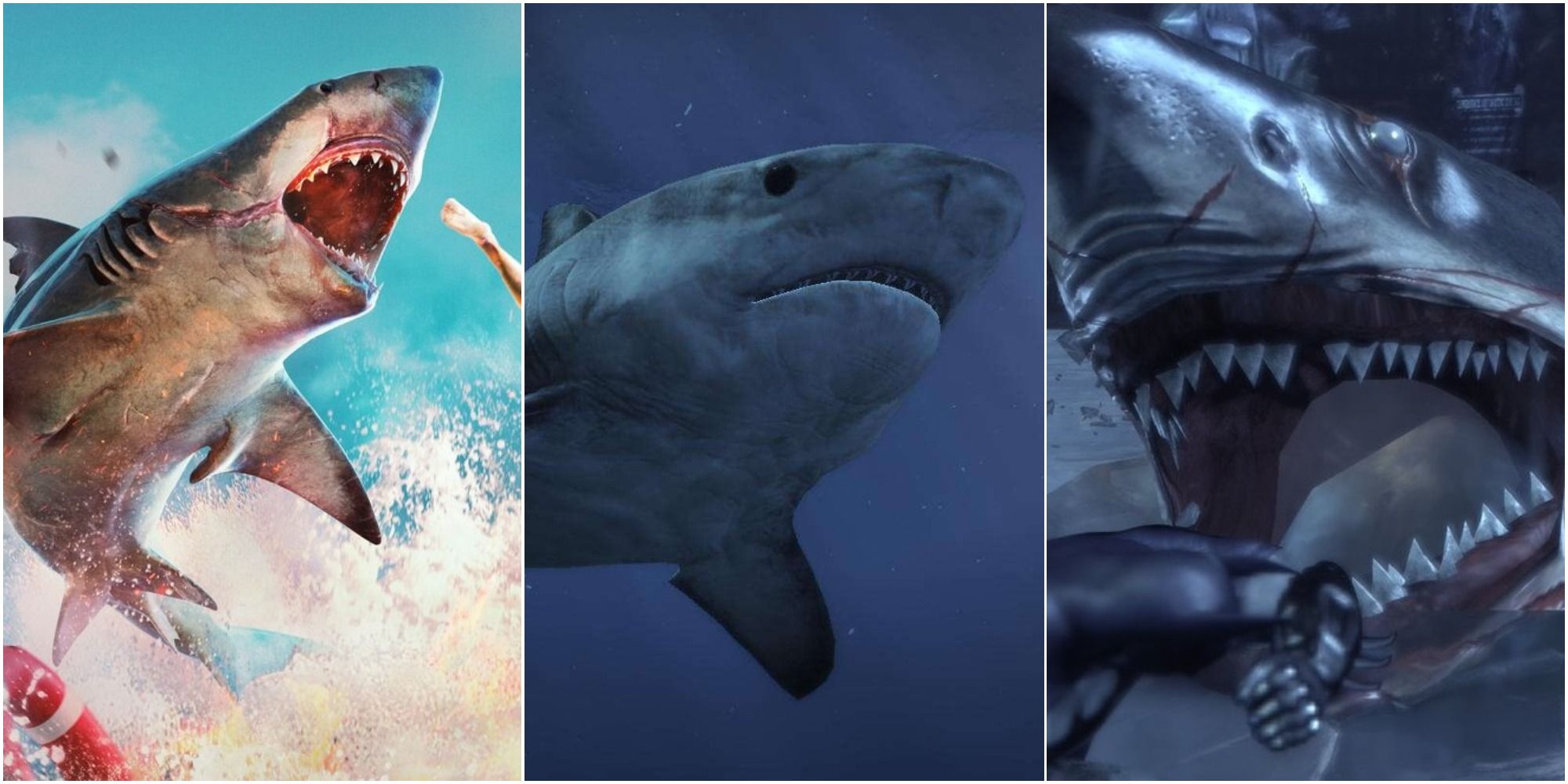 Most Realistic Sharks In Video Games