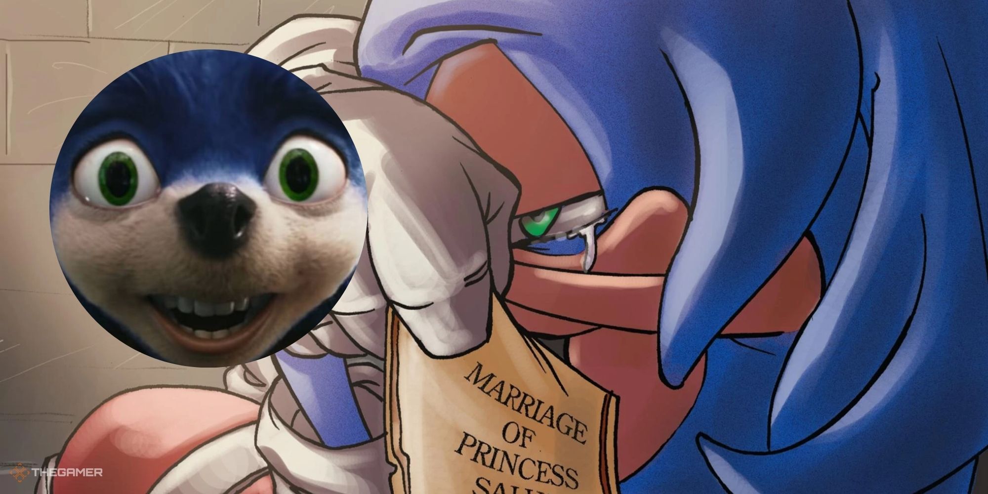 Sega references Sonic's worst character and fans are weirdly happy