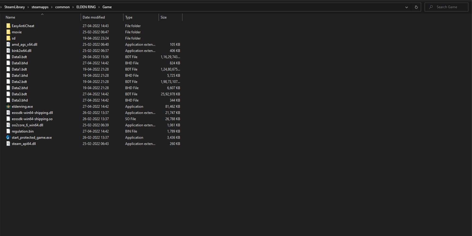 Screenshot of Elden Ring Game Files