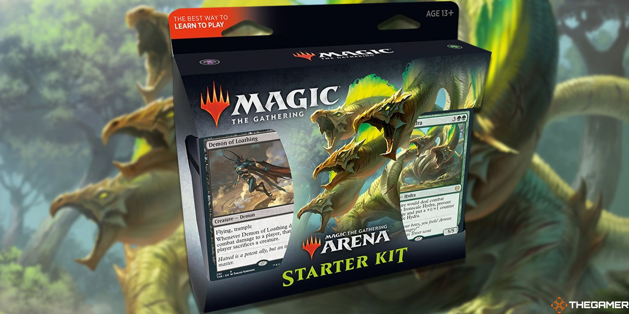 Magic the Gathering Starter Kit 