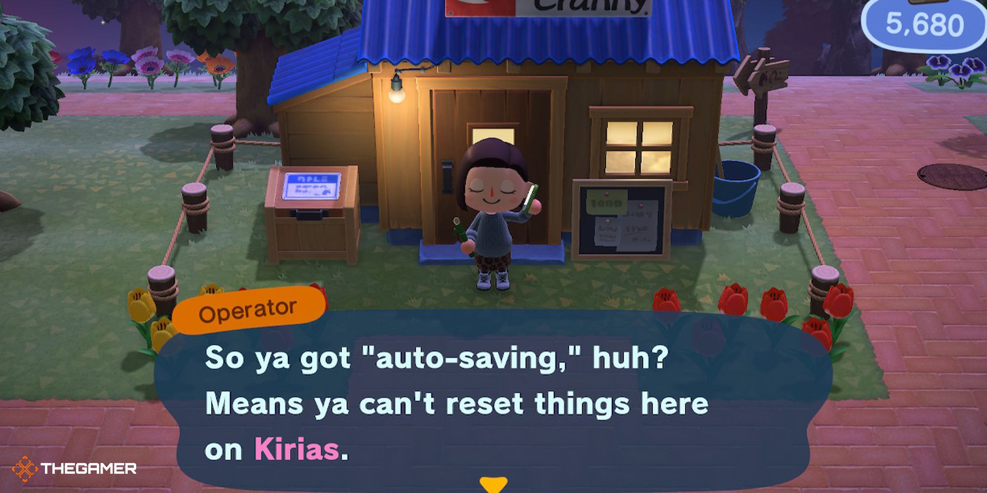 Animal Crossing New Horizons - talking to Resetti