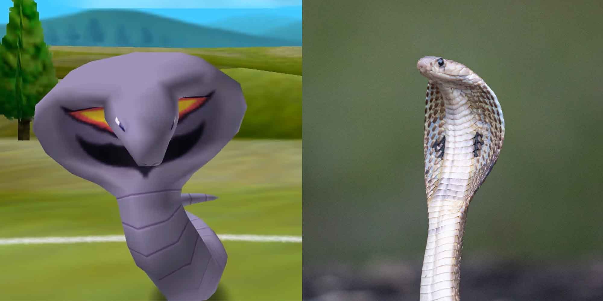 Arbok Pokemon and a Cobra
