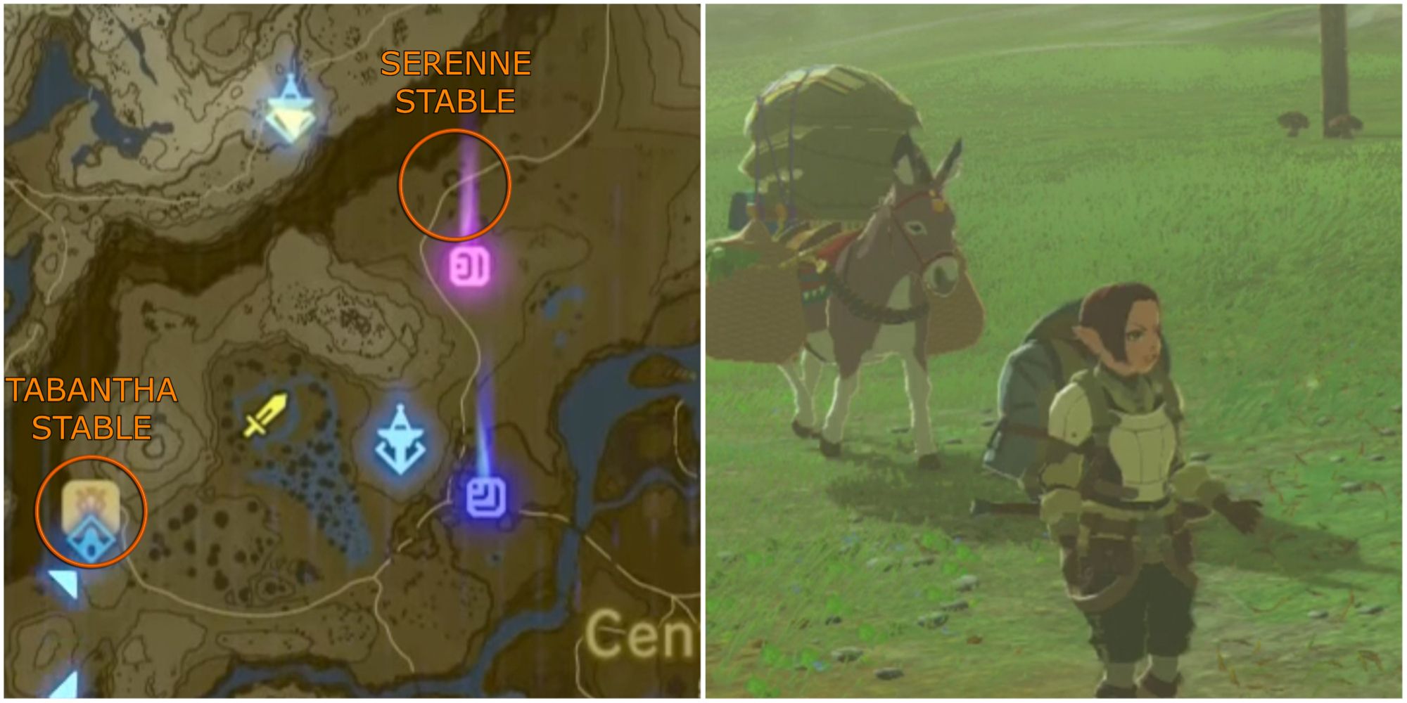 Breath Of The Wild Split Image Yammo Merchant Route