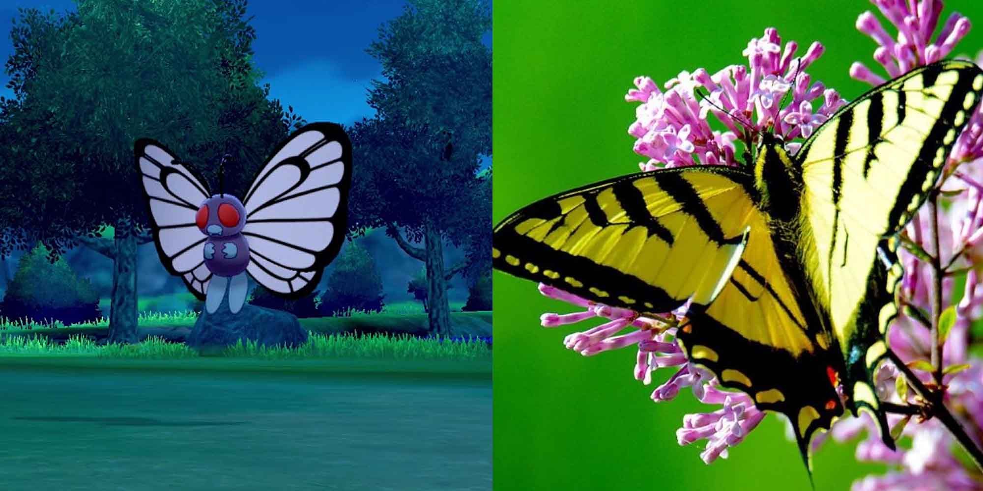 Butterfree Pokemon and a butterfly
