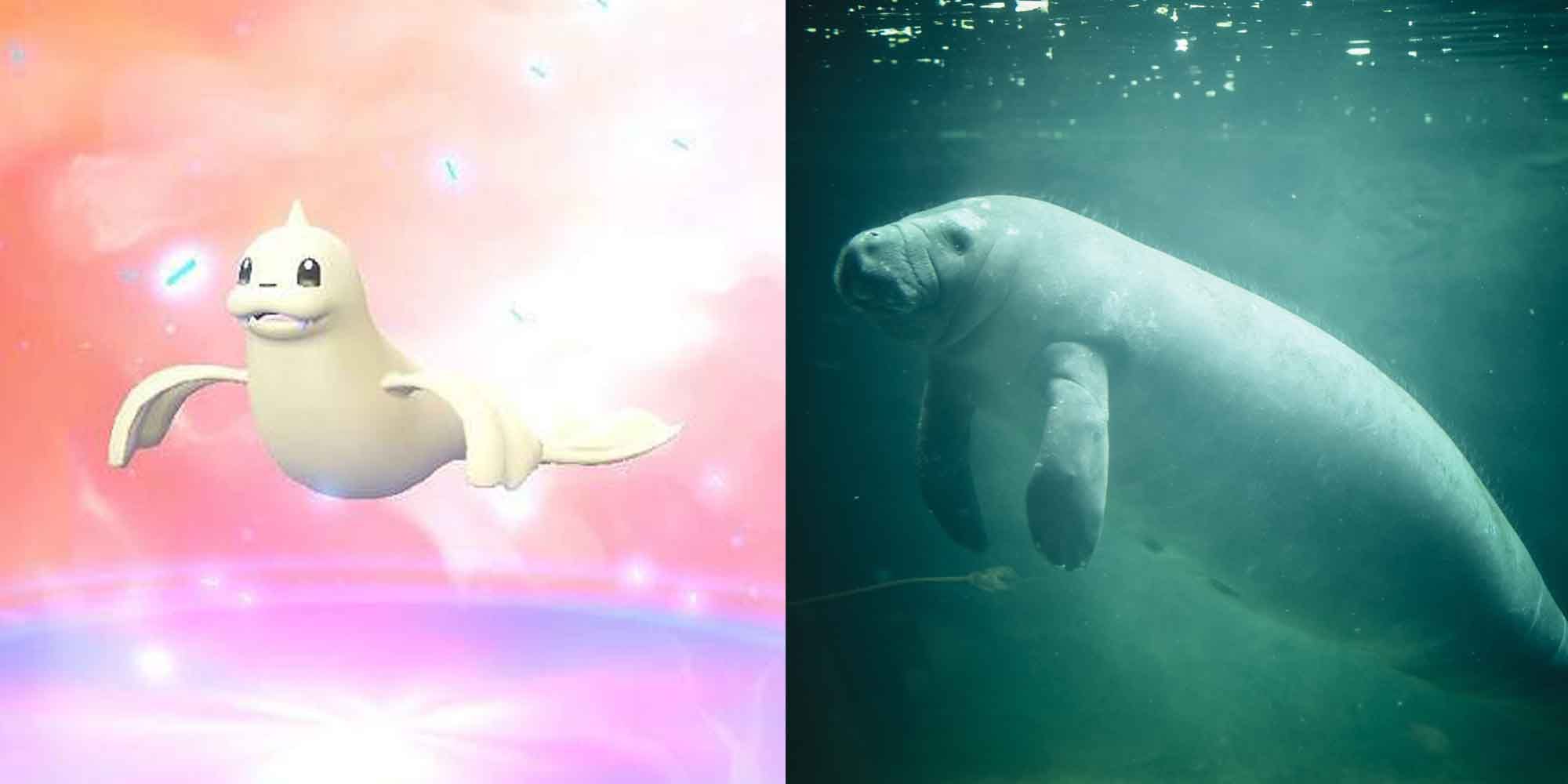 Dewgong and Dugong