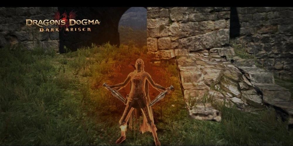 character setting themselves on fire with immolation in Dragon's Dogma