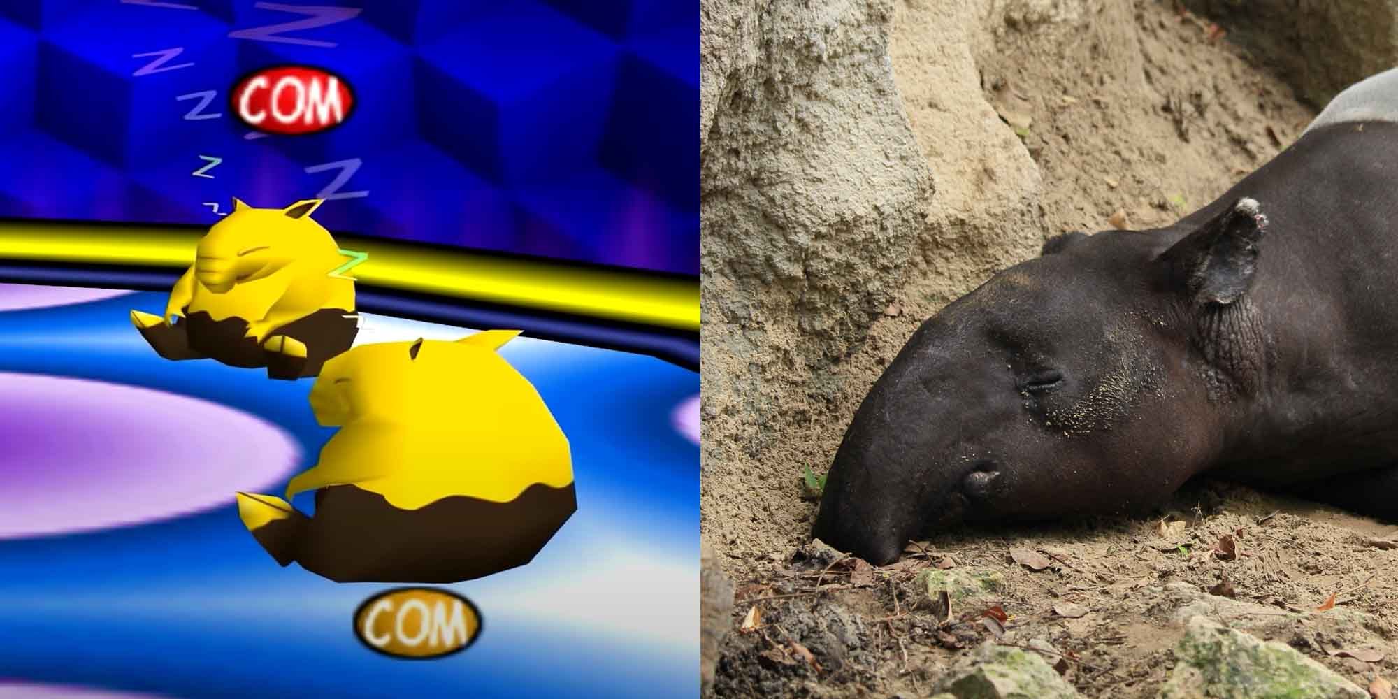 Drowzee Pokemon and a tapir