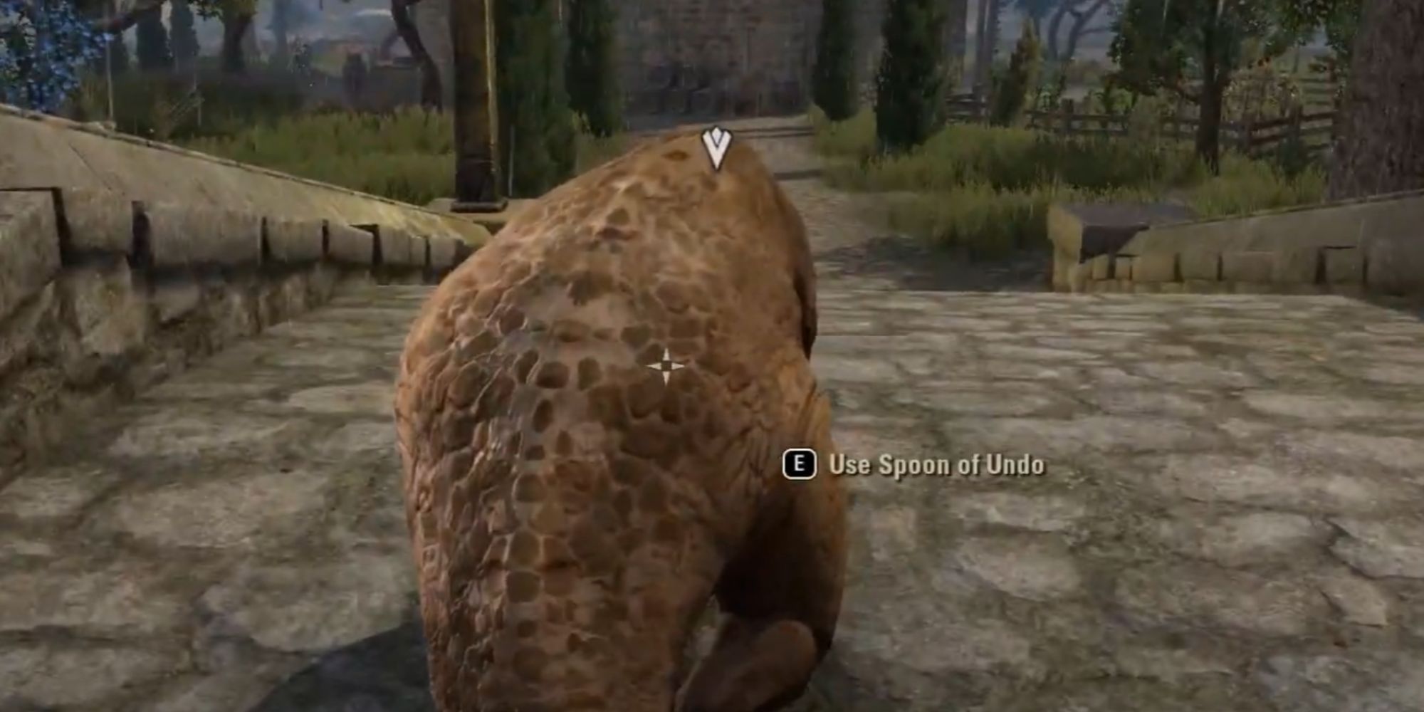 ESO Character Using The Spoon Of Undo