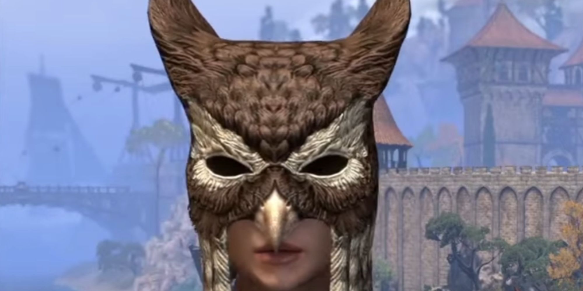 ESO Character Wearing The Nighthunter's Cowl