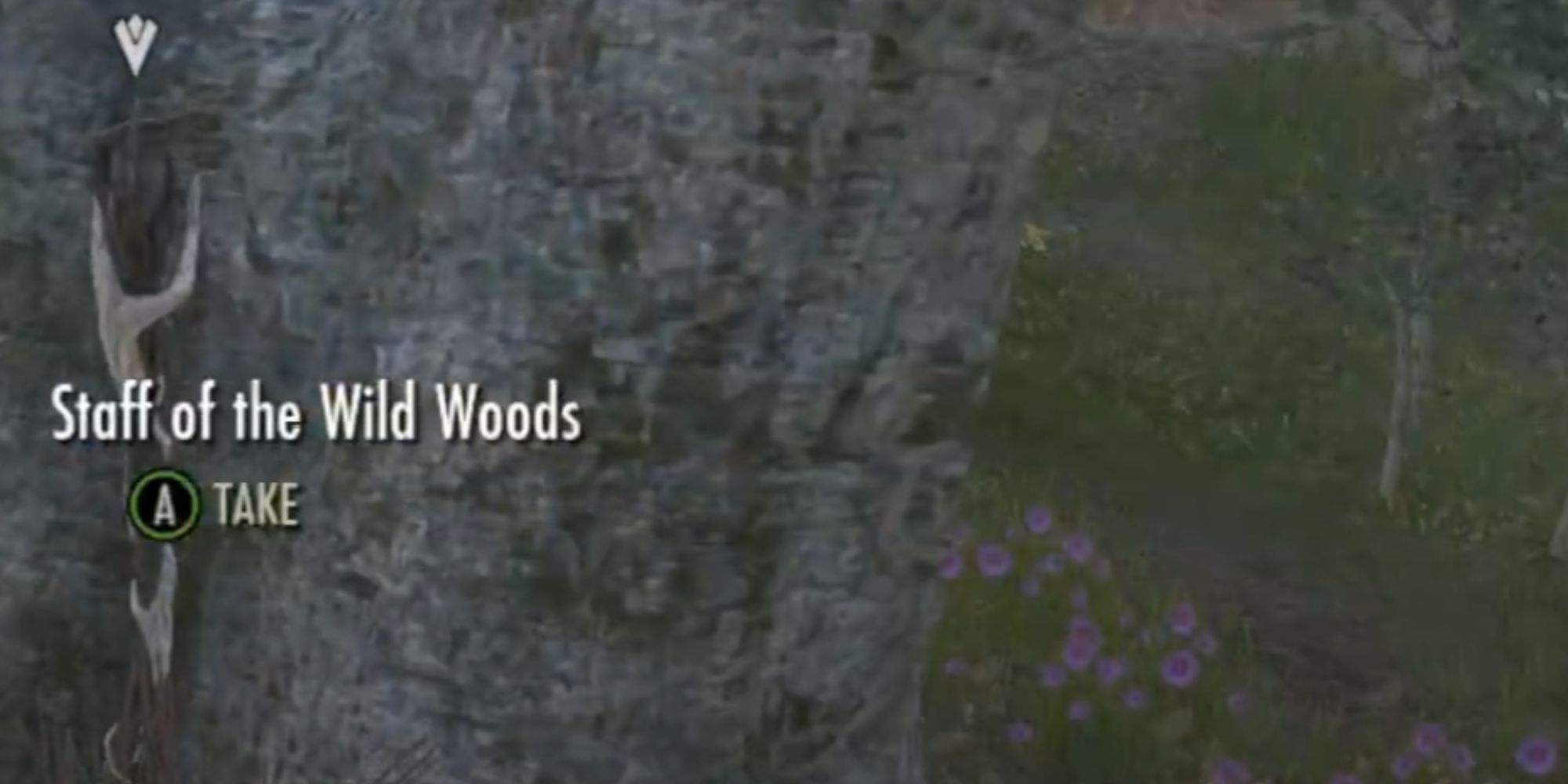 ESO Staff Of The Wild Woods Sitting Against A Tree
