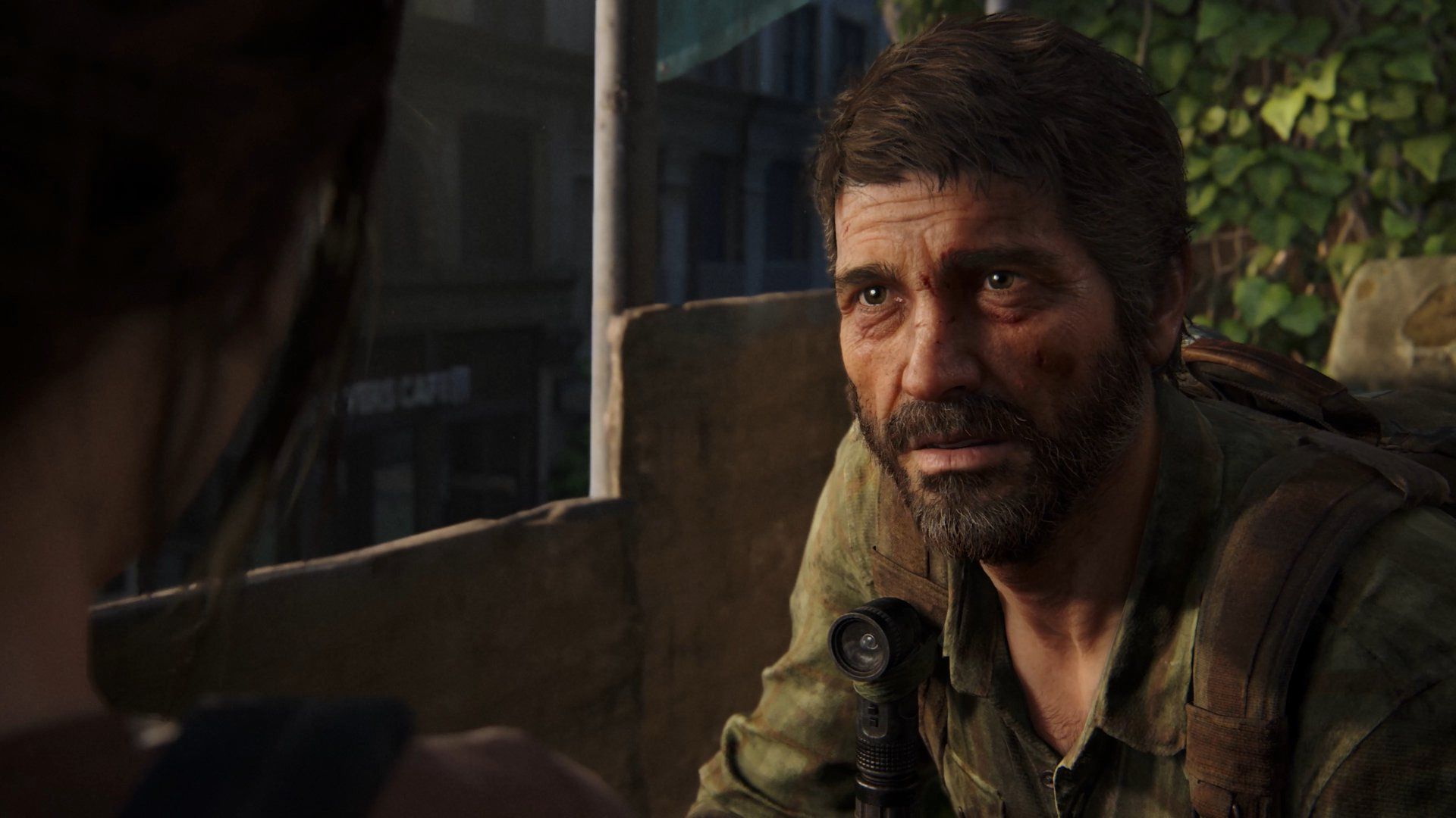 The Last of Us