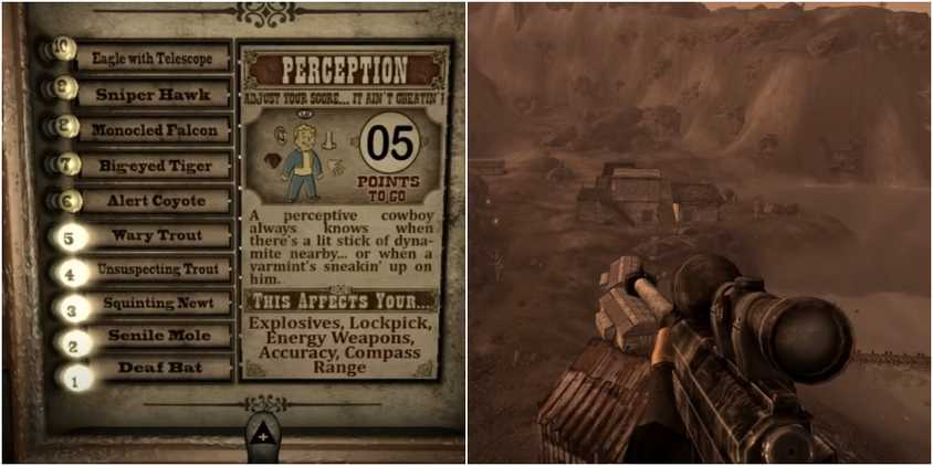 Where To Find Every Skill Book In Fallout: New Vegas