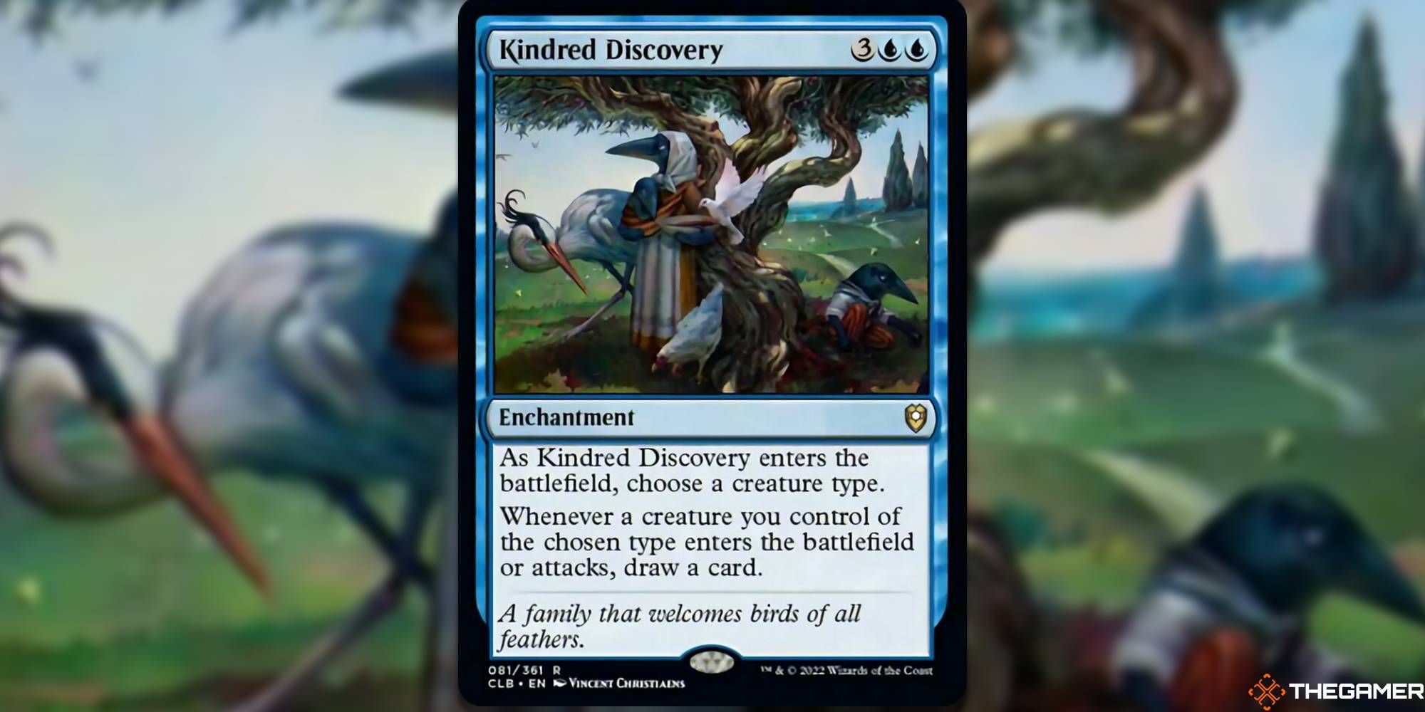 Kindred Discovery