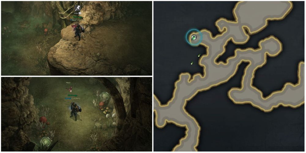 Lost Ark 5th and 6th mokoko seeds in Soldier Ant Nest dungeon