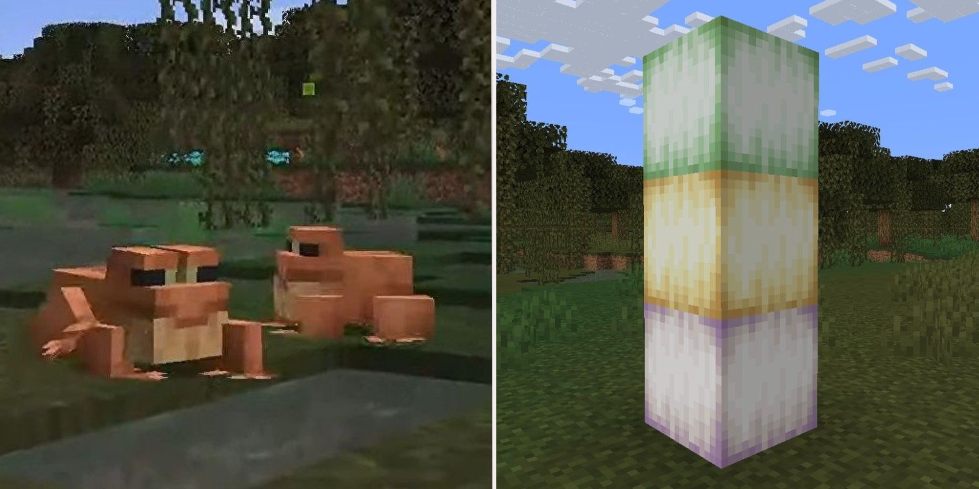 Minecraft: Frogs, Explained