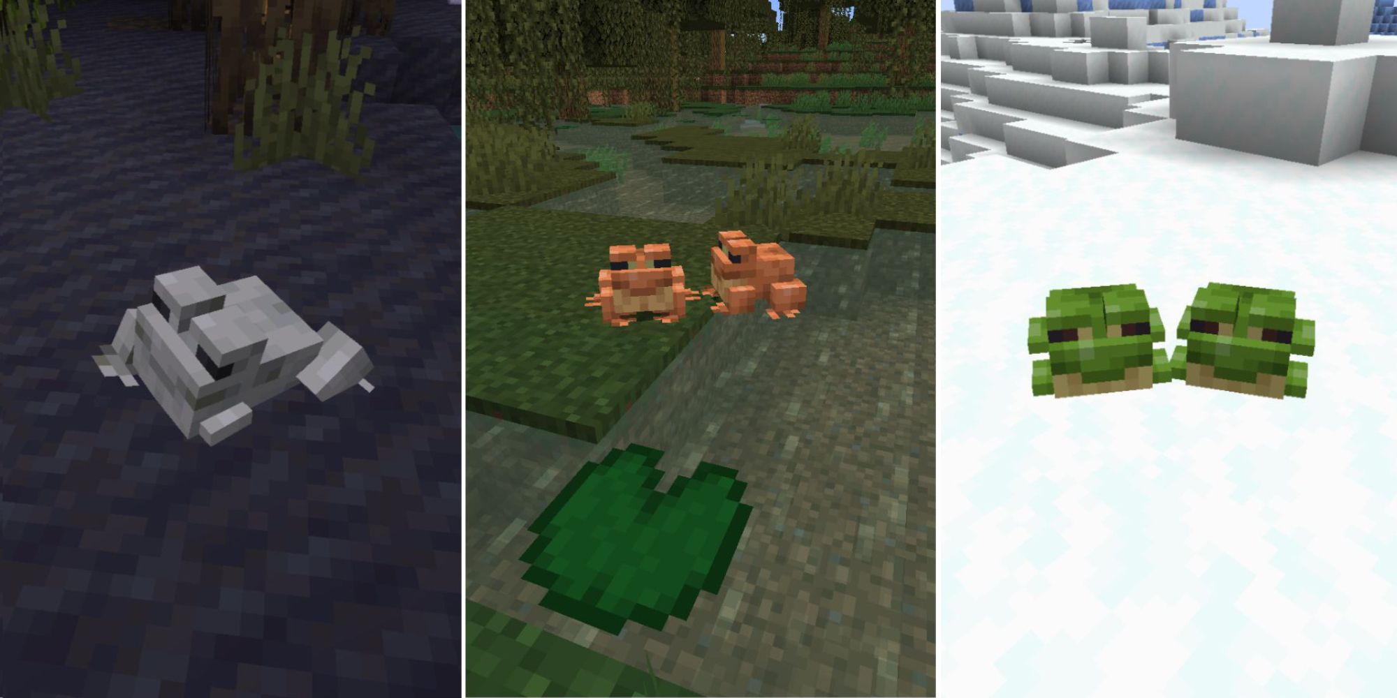 Minecraft: Frogs, Explained