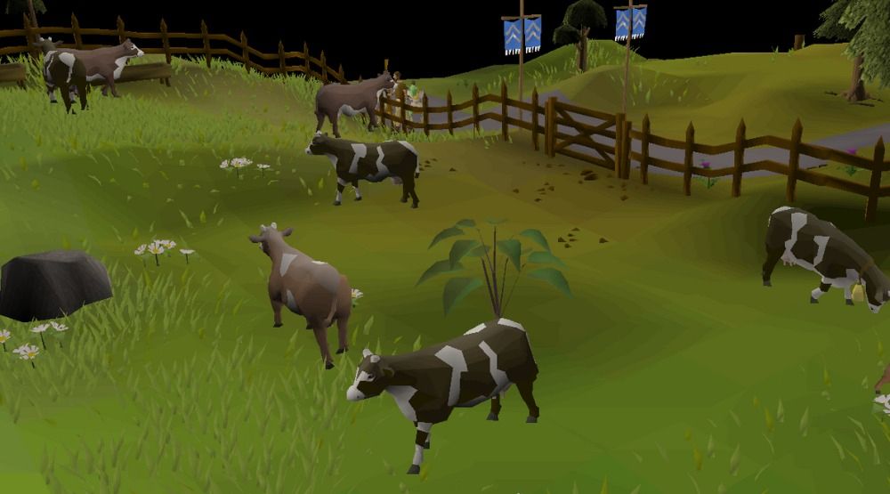 OSRS screenshot of Lumbridge Cow Field