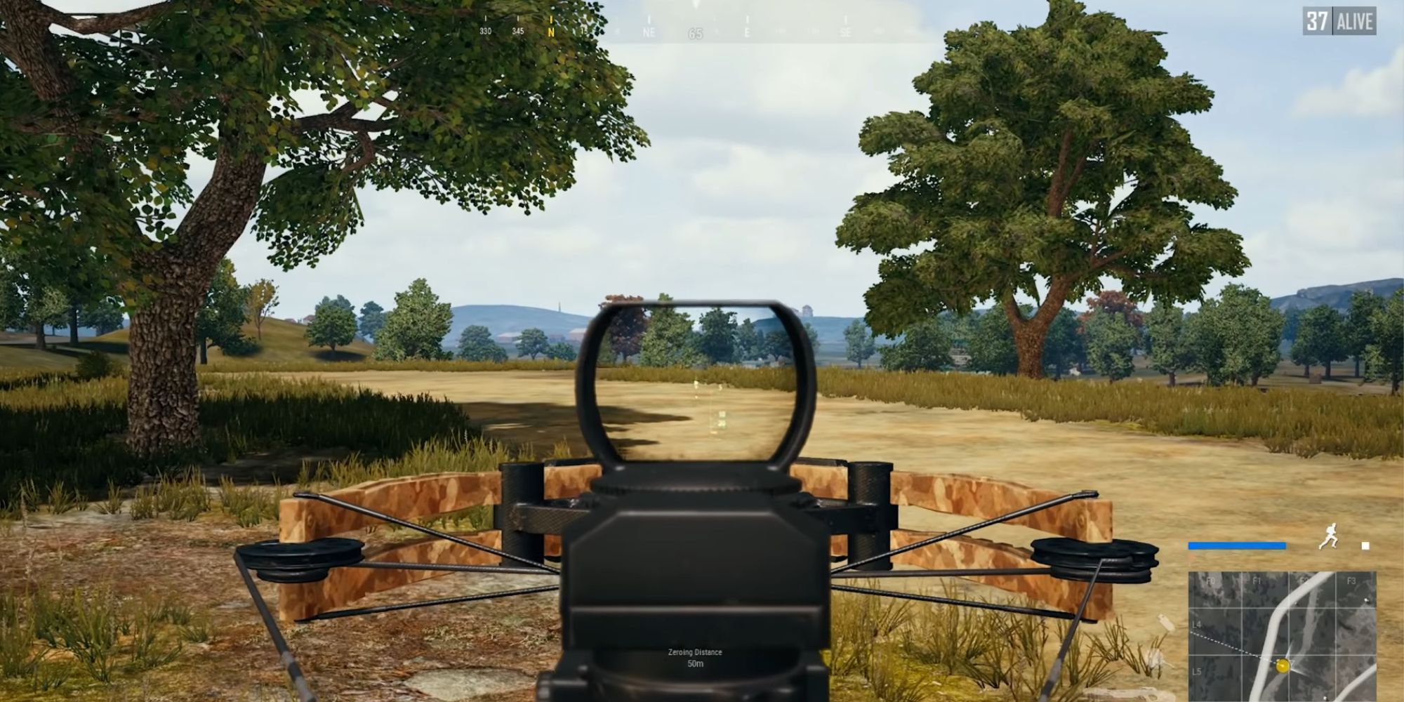 Aiming down the crossbow sights