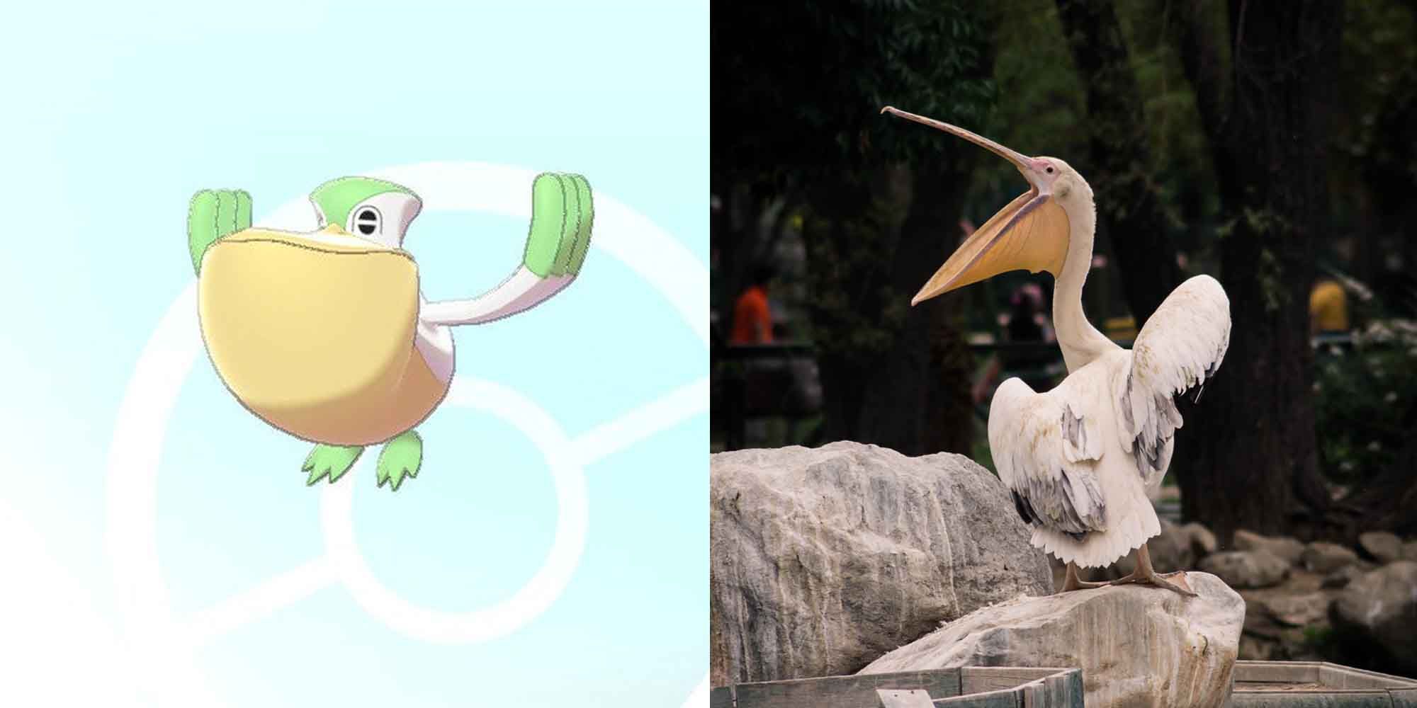Pelipper Pokemon and a Pelican