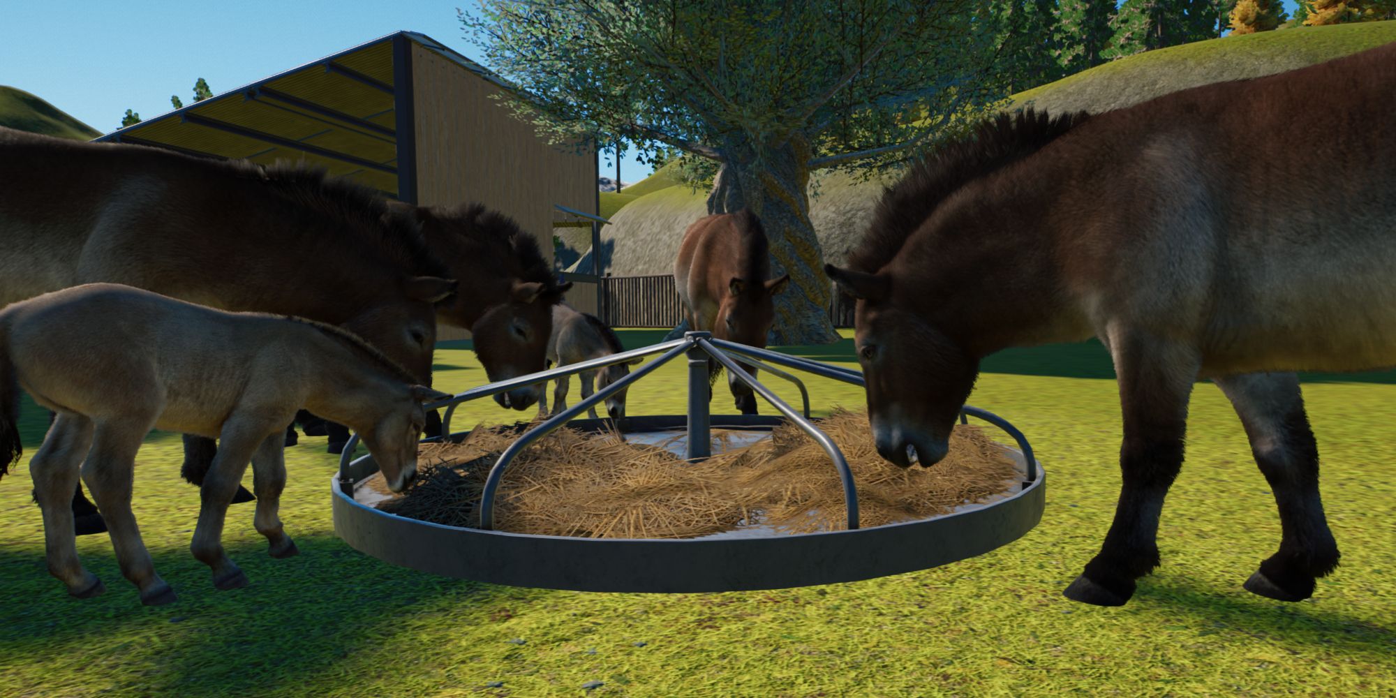 Planet Zoo Conservation Prewalski's horses eating