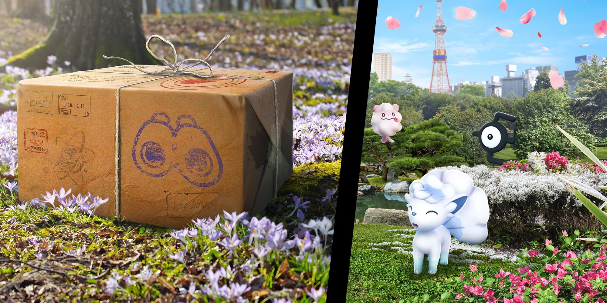 Pokemon Go Bundle split with an image of Alolan Vulpix and an Unown from Pokemon Go