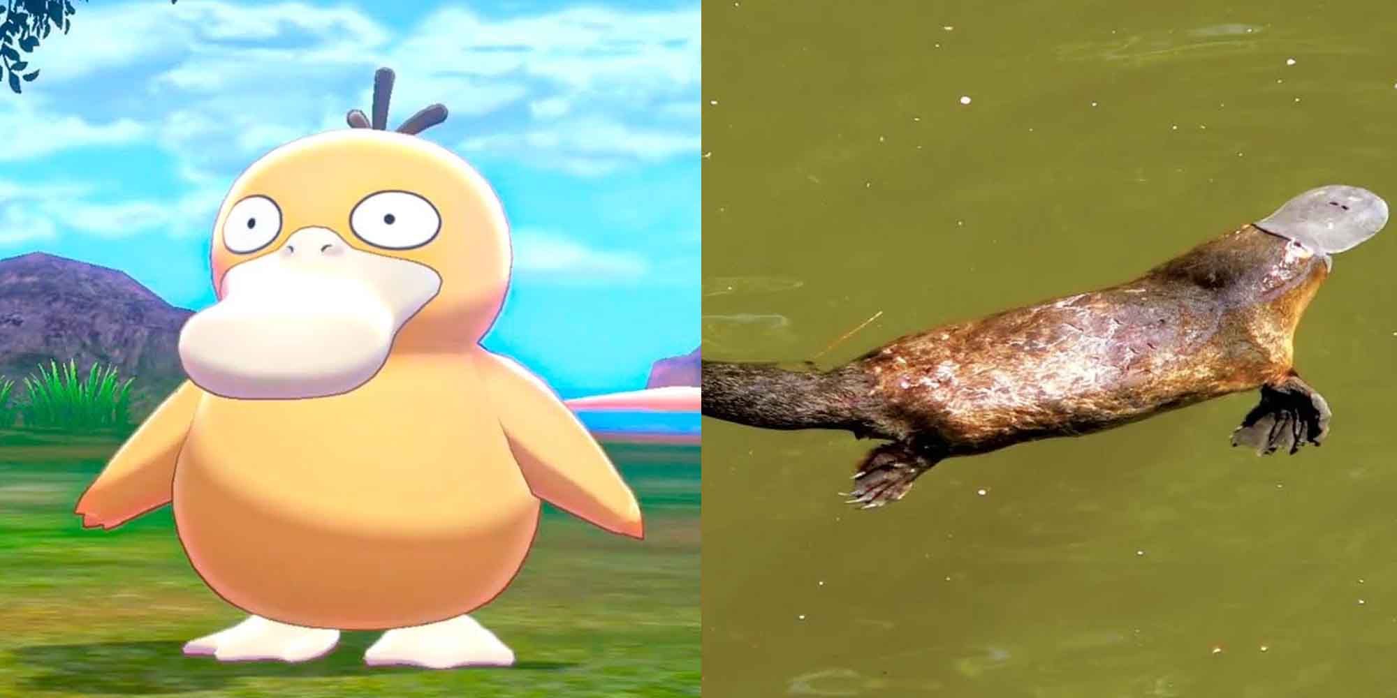 Psyduck Pokemon and a platypus