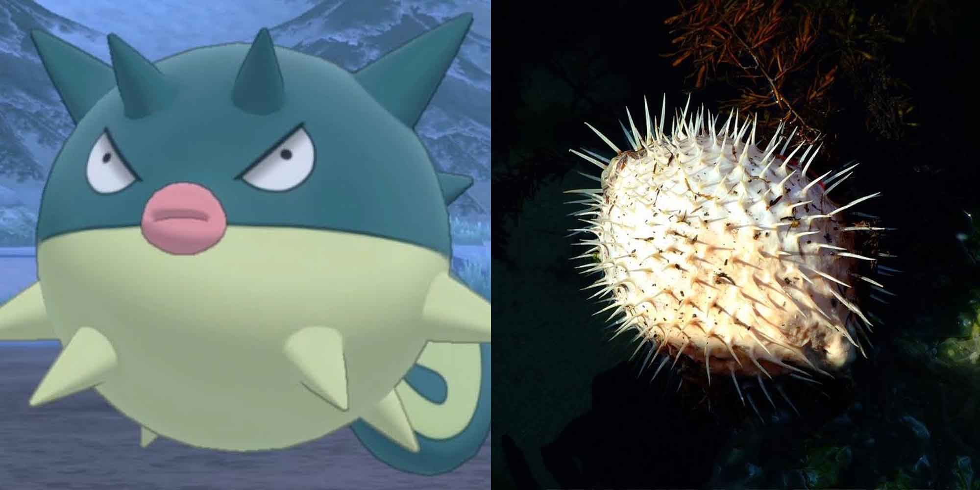 Qwilfish Pokemon and a Blowfish