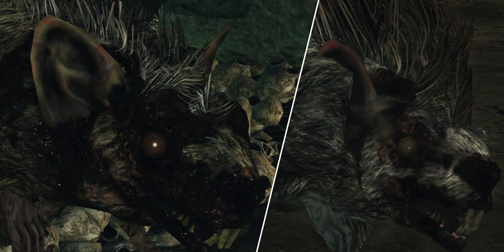 Dark Souls 2 boss Review - The Royal Rat Vanguard