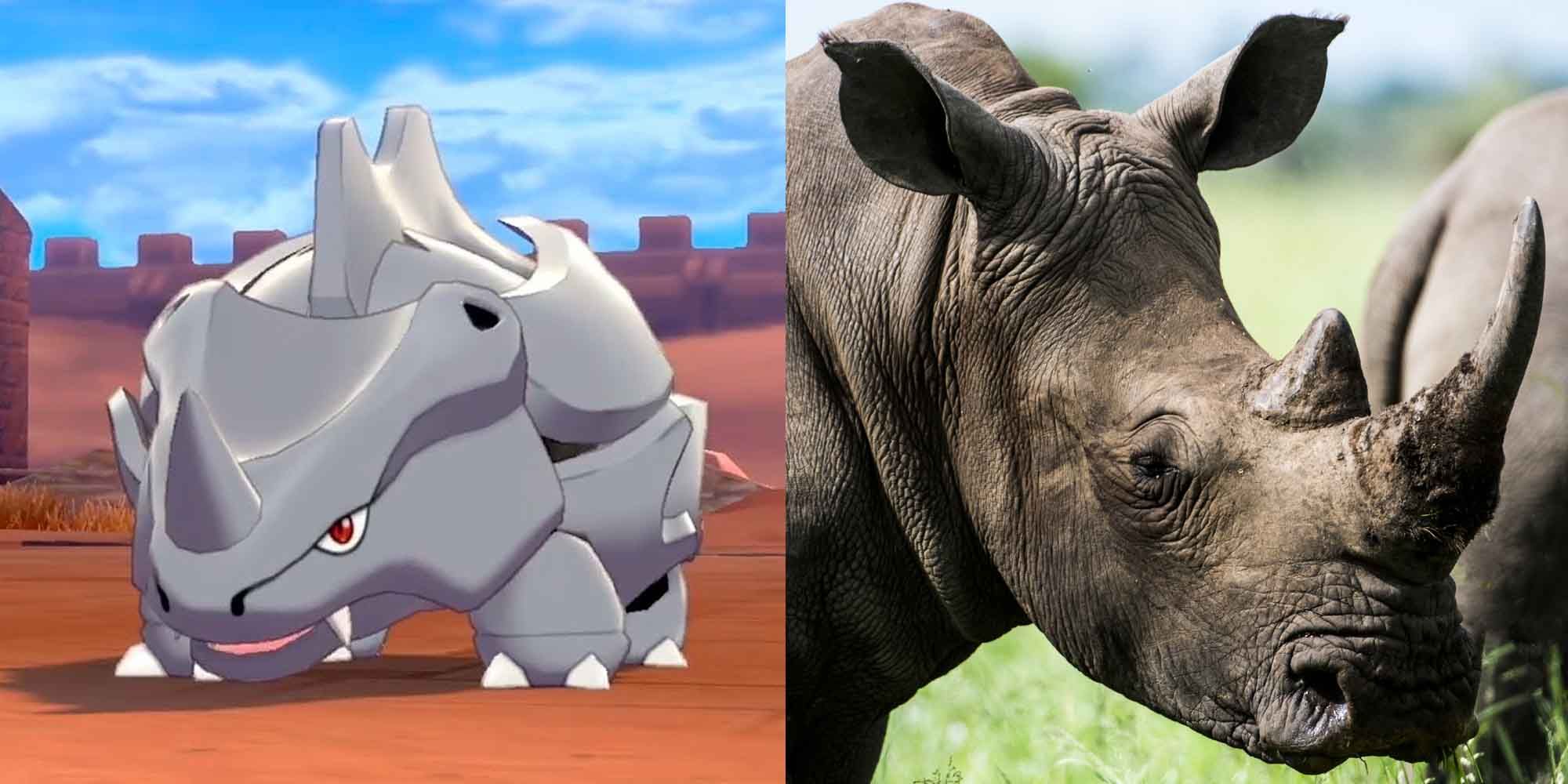 Rhyhorn Pokemon and a rhino